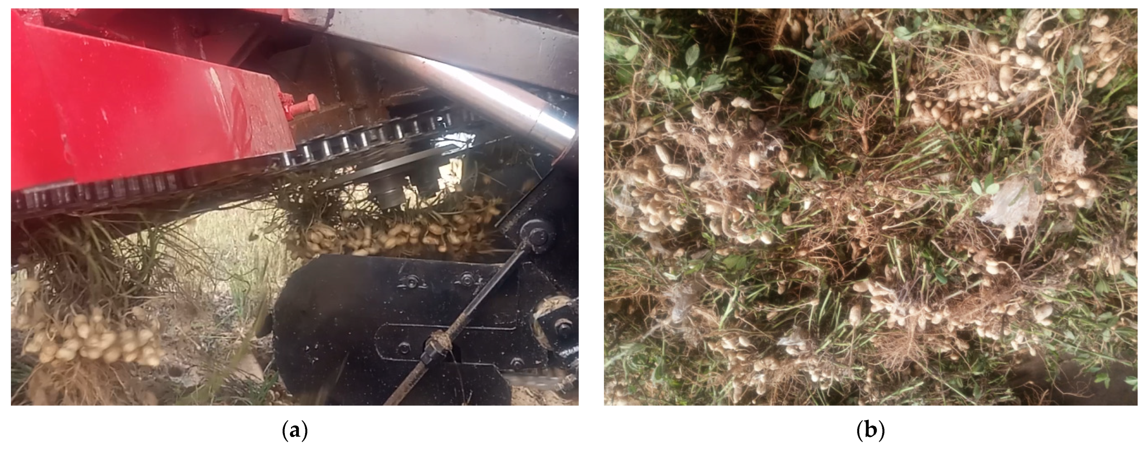 Agronomy 13 01103 g008