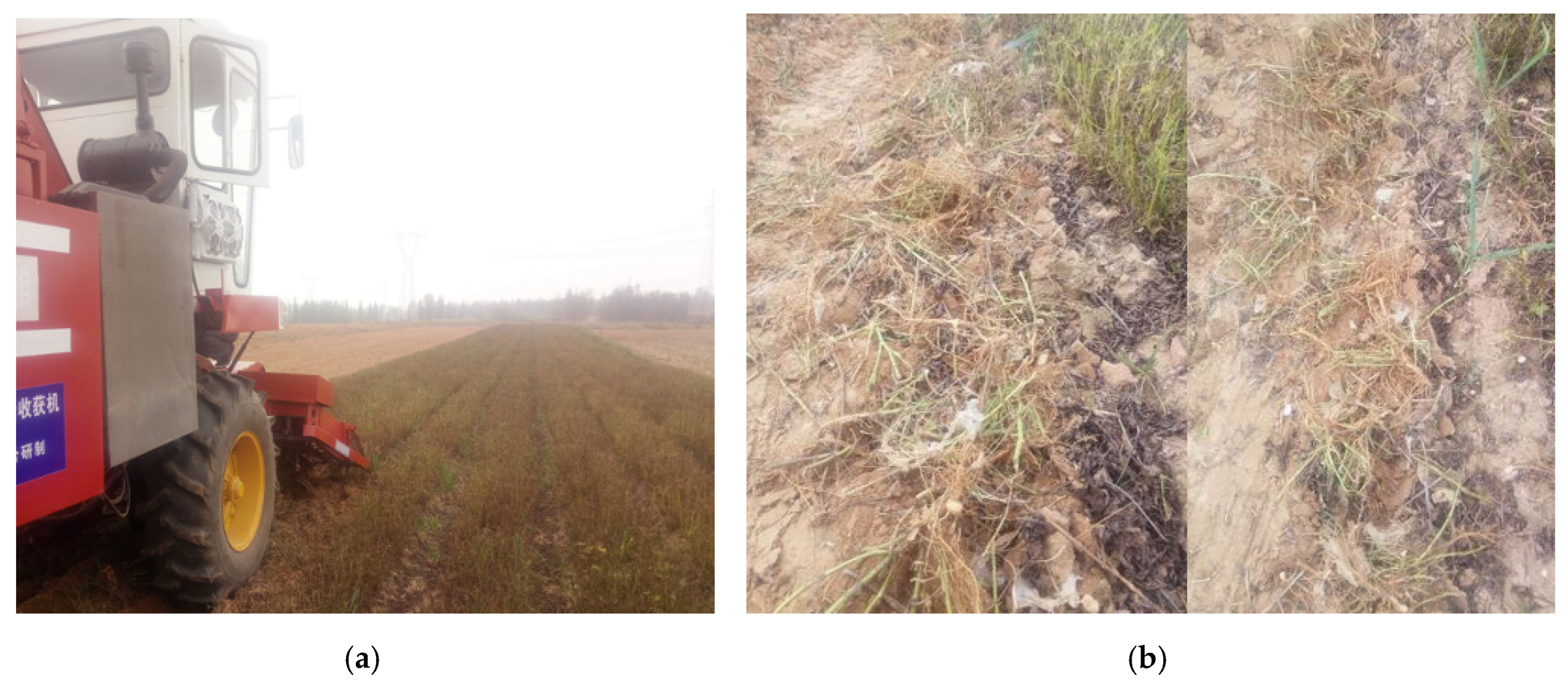 Agronomy 13 01103 g010