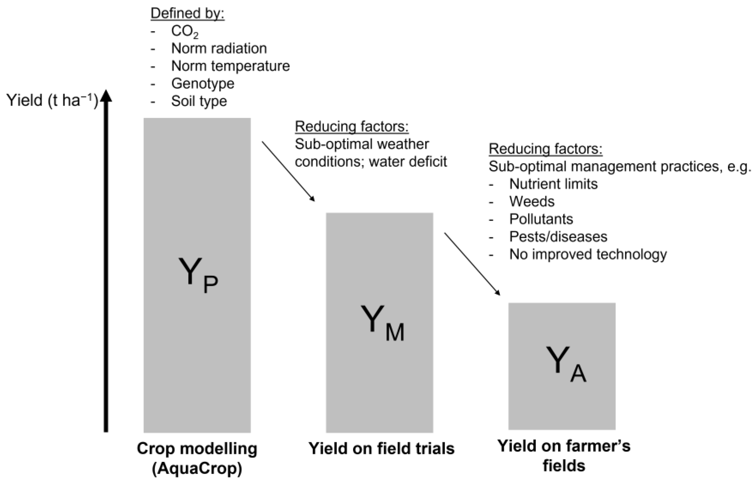 Agronomy 13 01104 g002 Agronomy 13 01104 g002