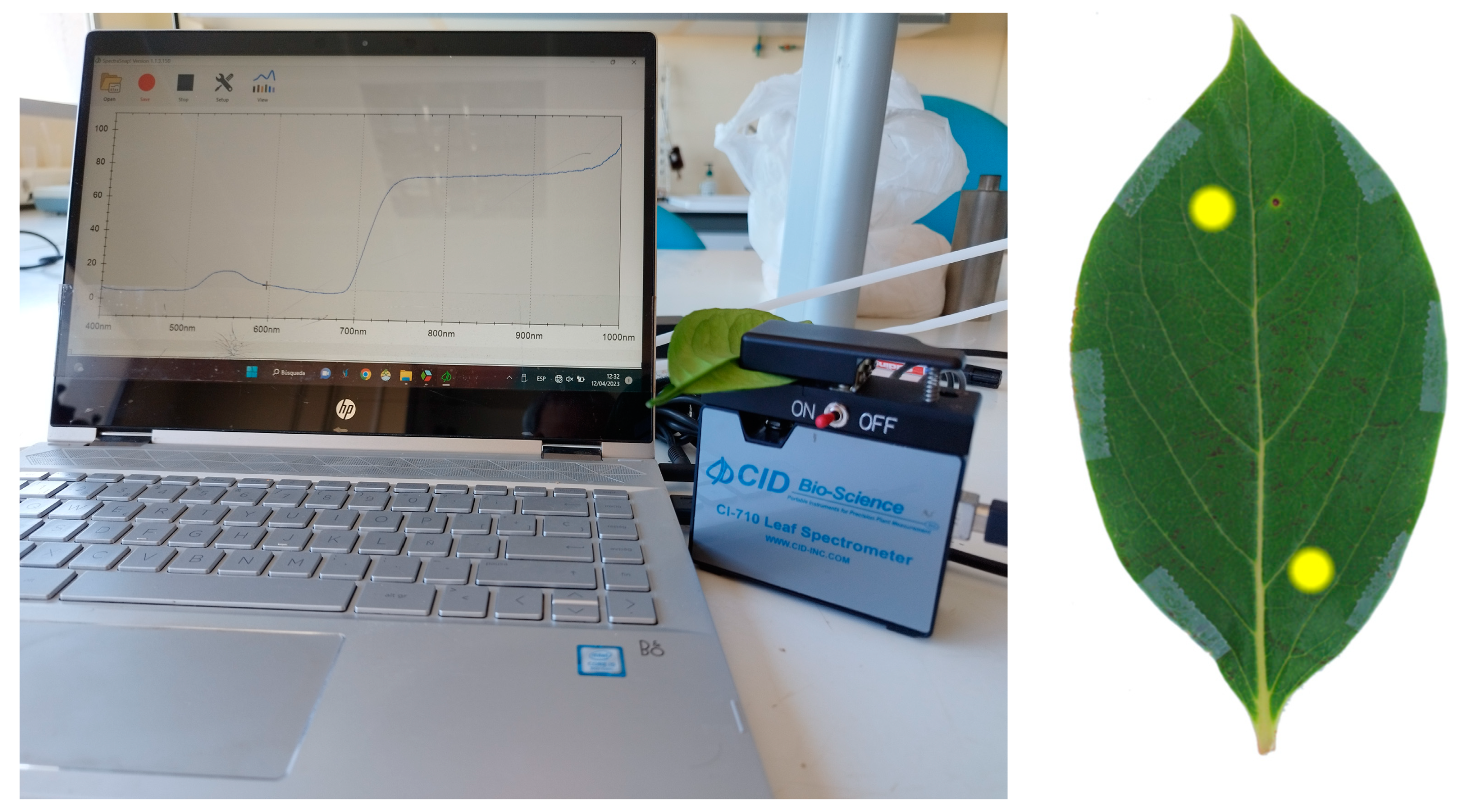 Agronomy 13 01105 g002 Agronomy 13 01105 g002