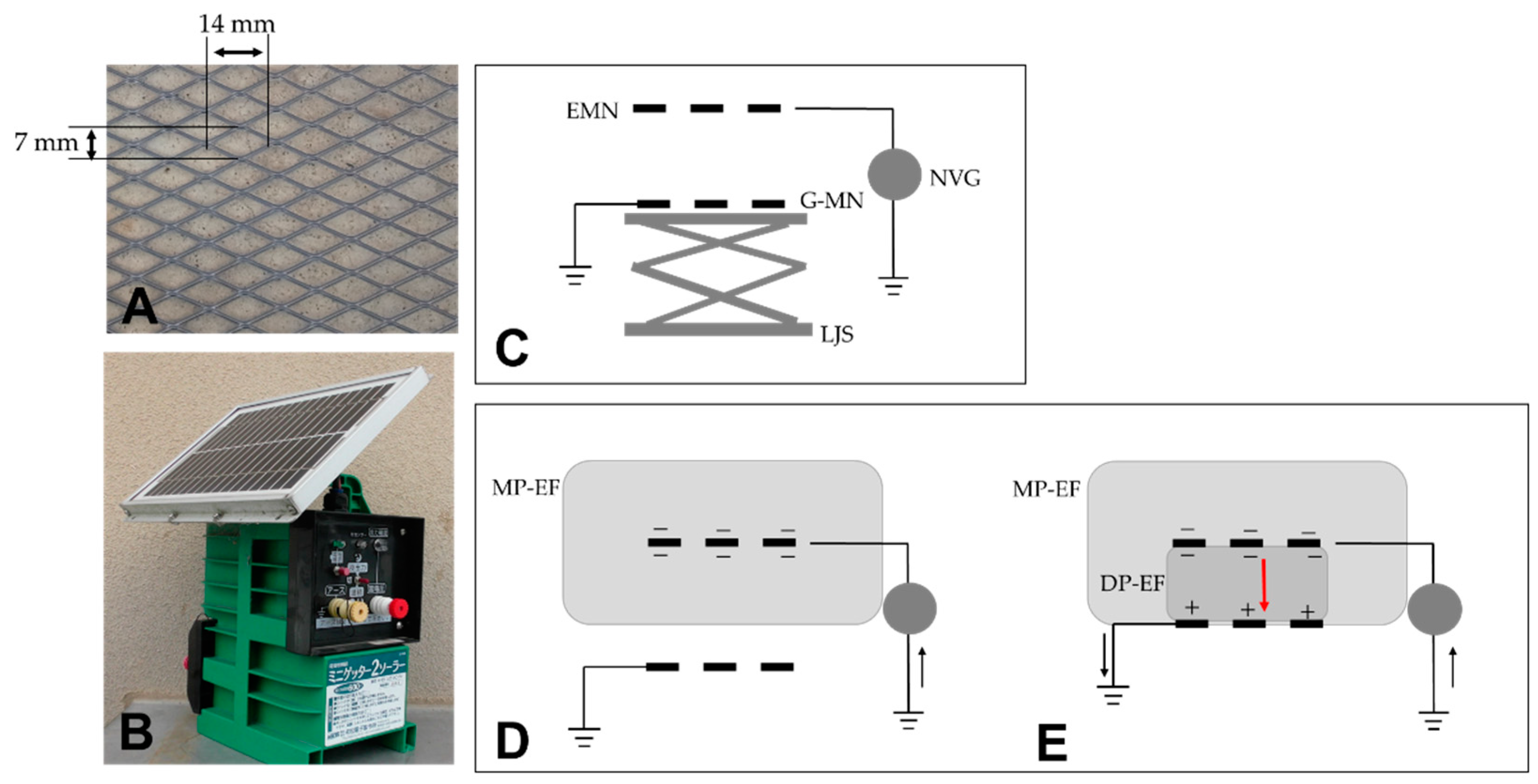 Agronomy 13 01115 g001 Agronomy 13 01115 g001