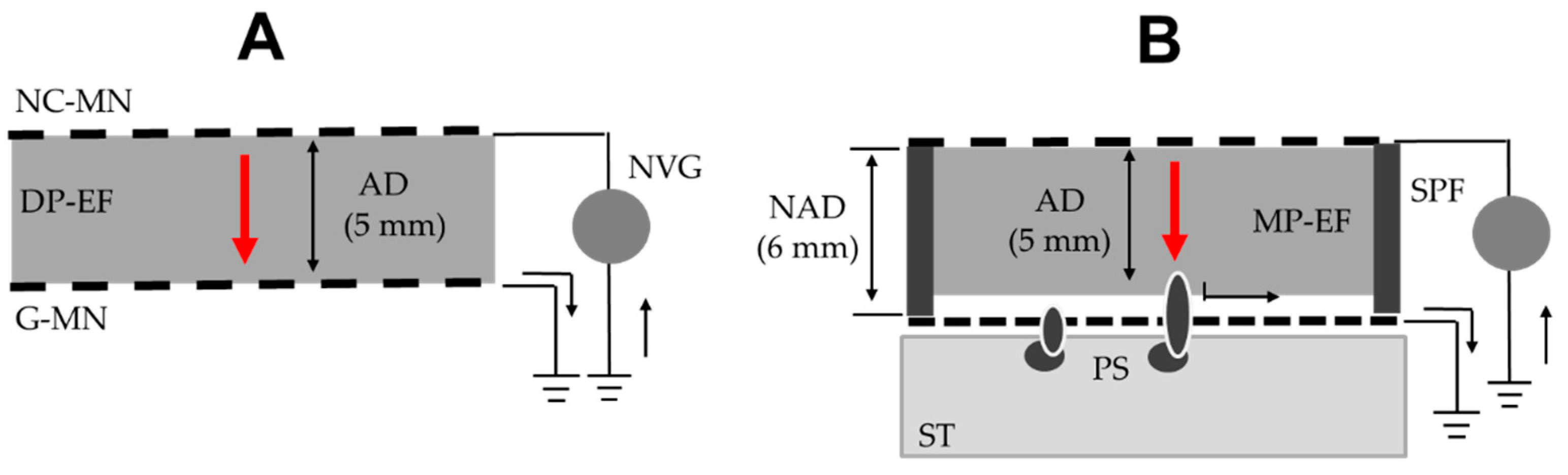 Agronomy 13 01115 g002 Agronomy 13 01115 g002