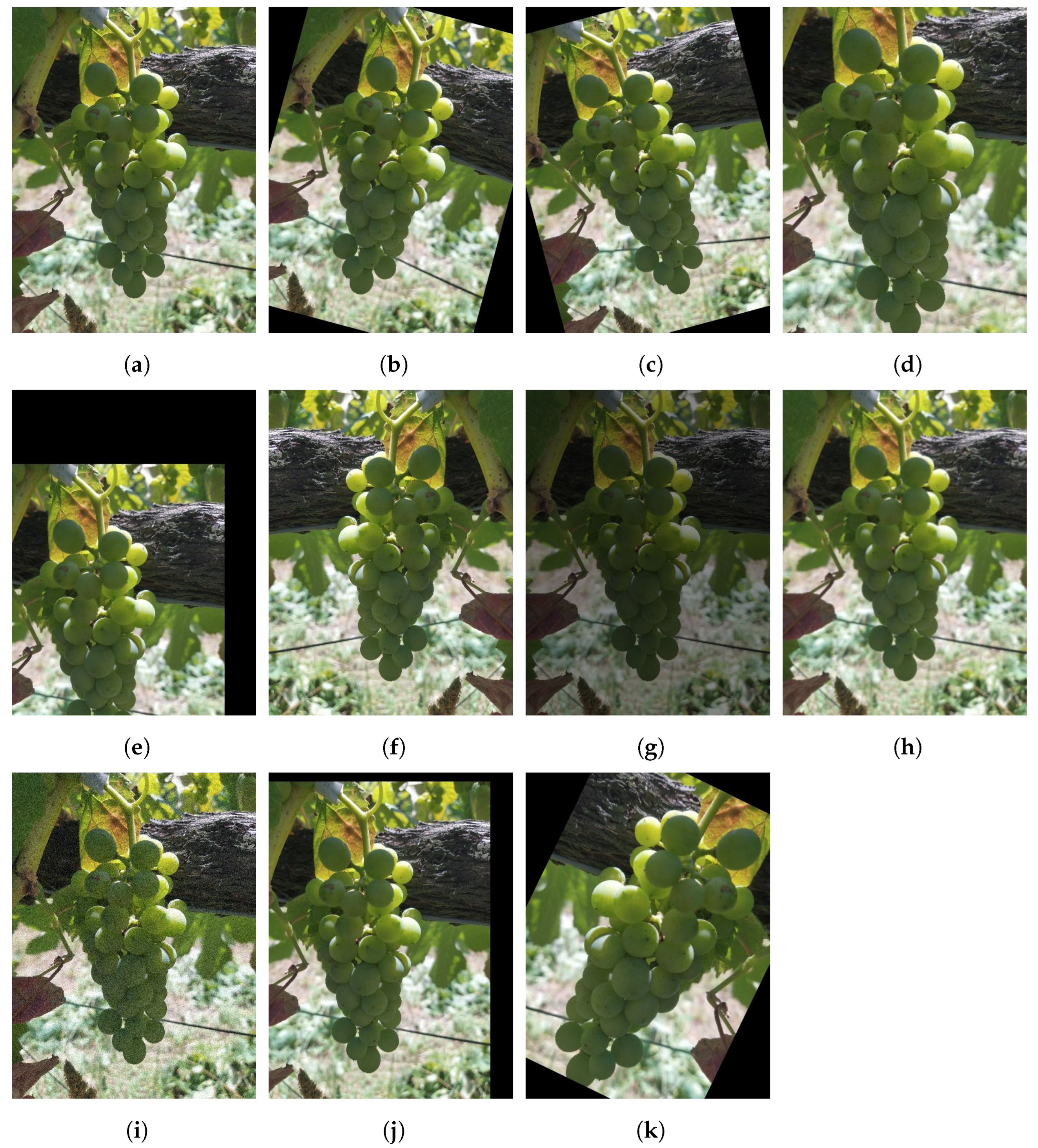 Agronomy 13 01120 g003