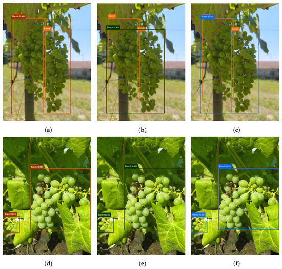Agronomy | Free Full-Text | Deep Learning YOLO-Based Solution for Grape ...