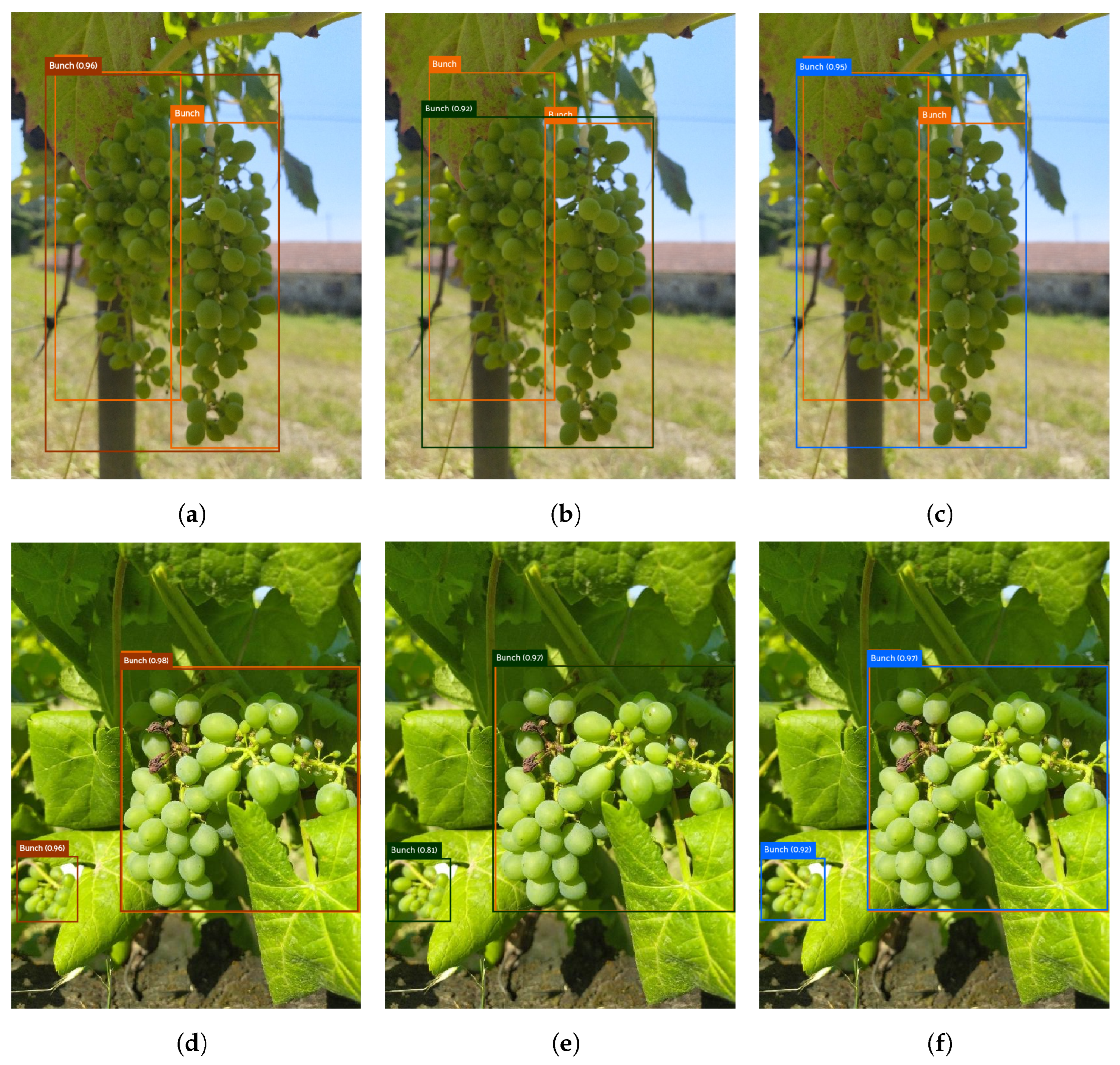Agronomy 13 01120 g005