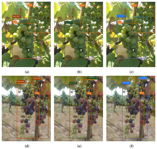 Agronomy | Free Full-Text | Deep Learning YOLO-Based Solution for Grape ...