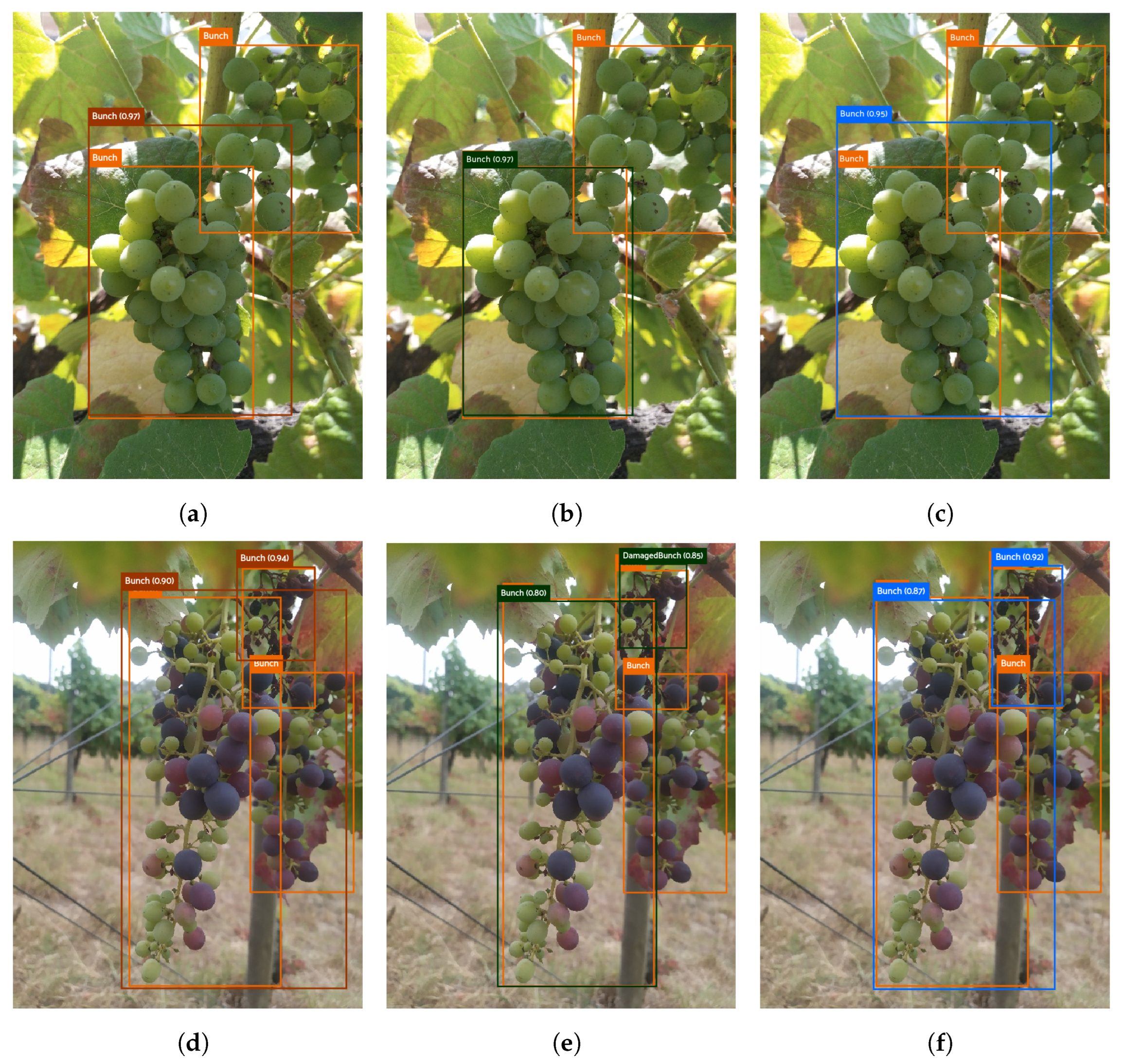 Agronomy 13 01120 g006