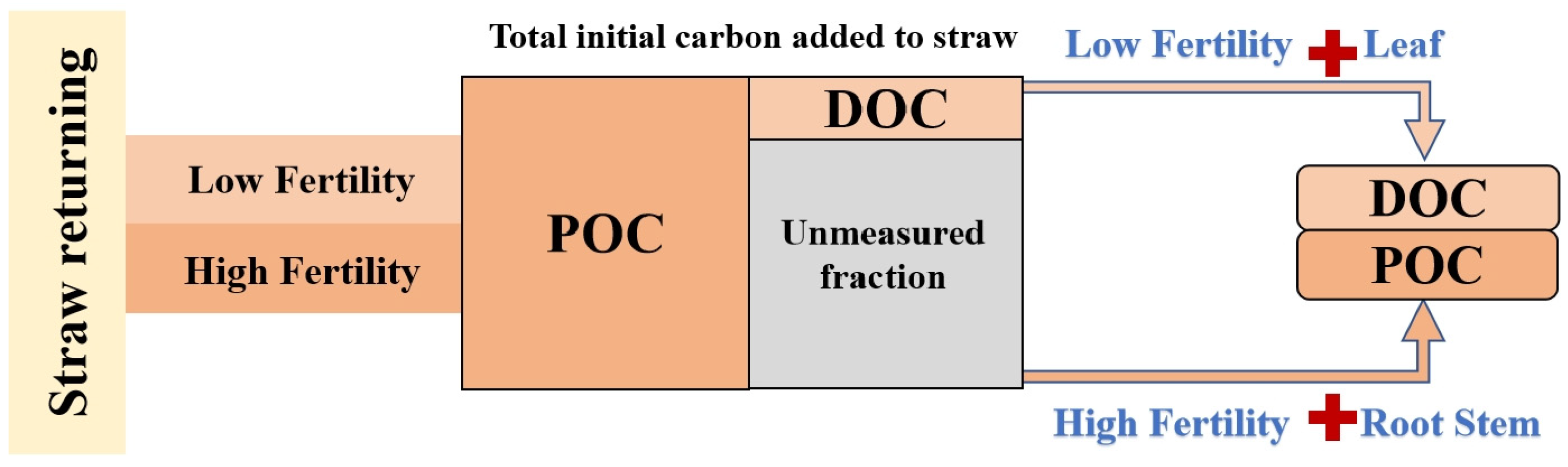 Agronomy 13 01121 g006