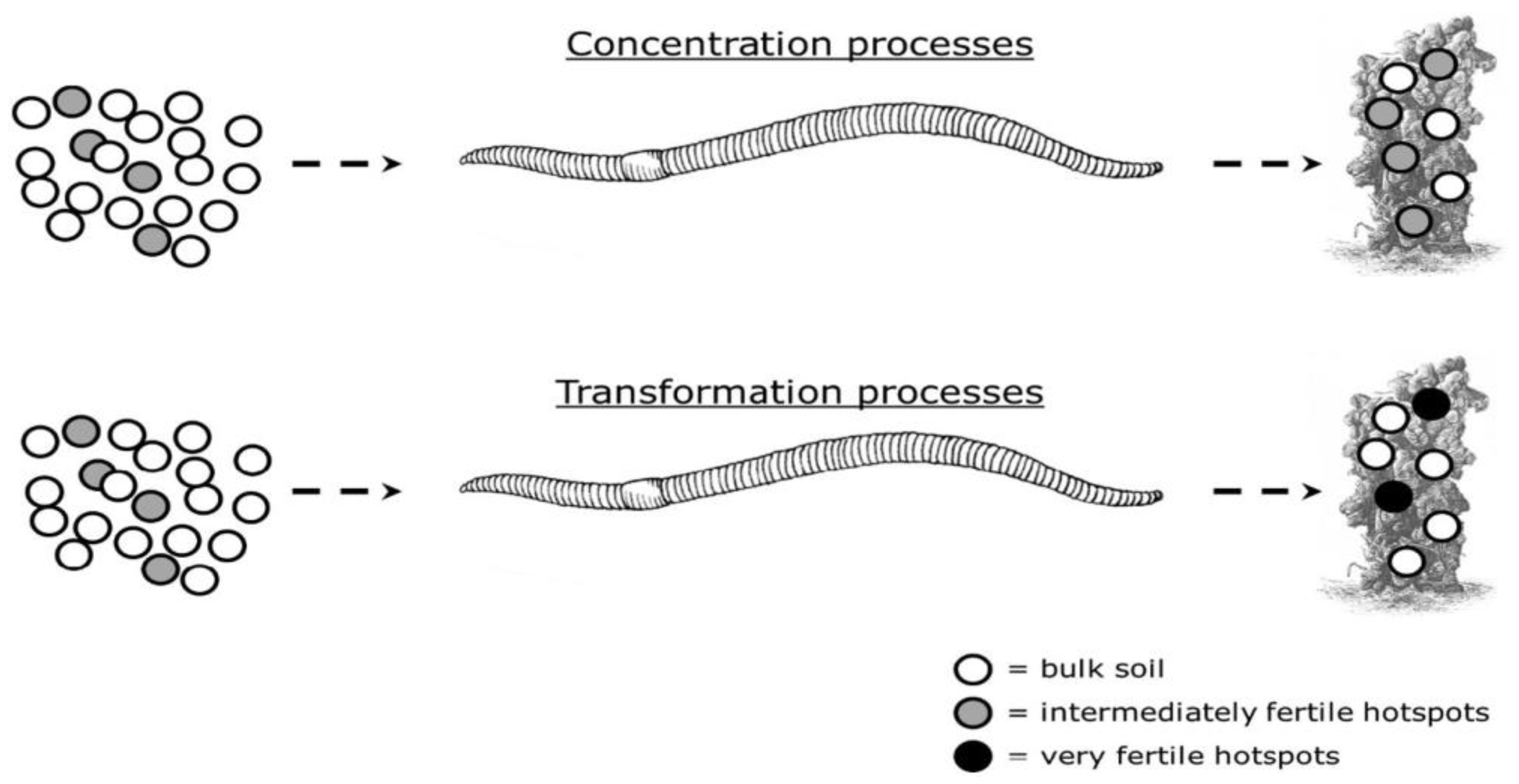 Agronomy 13 01134 g002 Agronomy 13 01134 g002