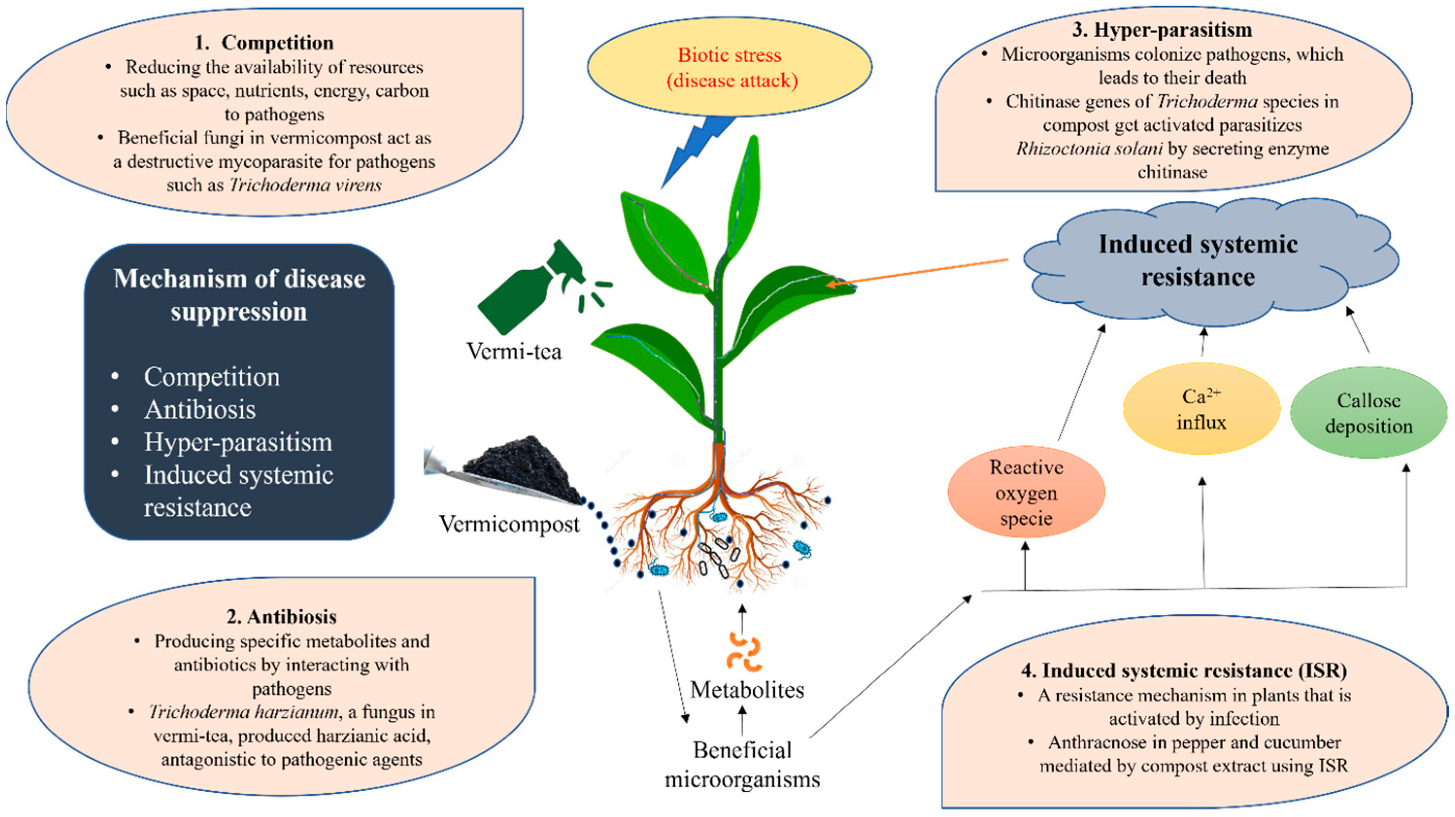Agronomy 13 01134 g004 Agronomy 13 01134 g004