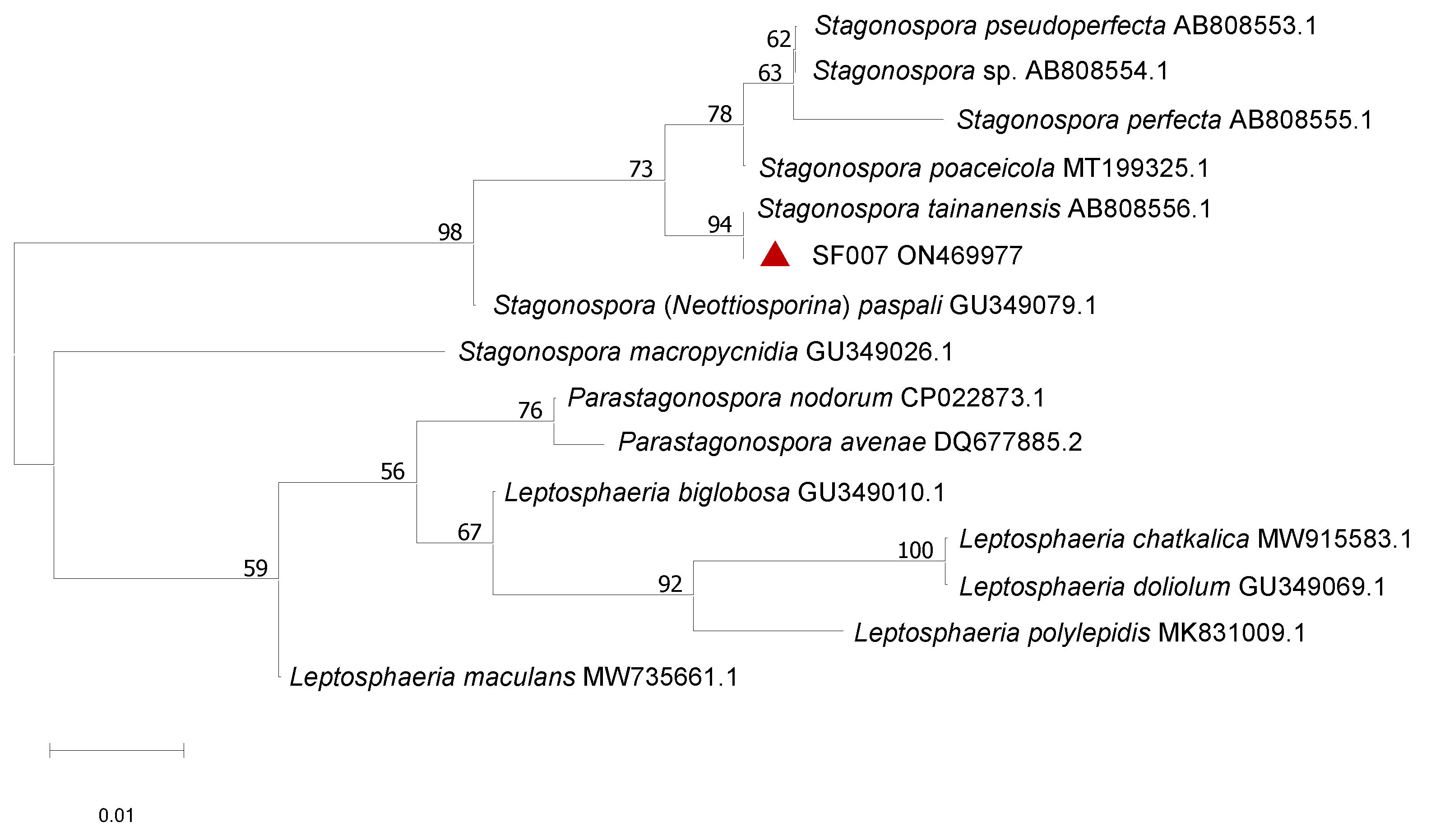 Agronomy 13 01136 g005