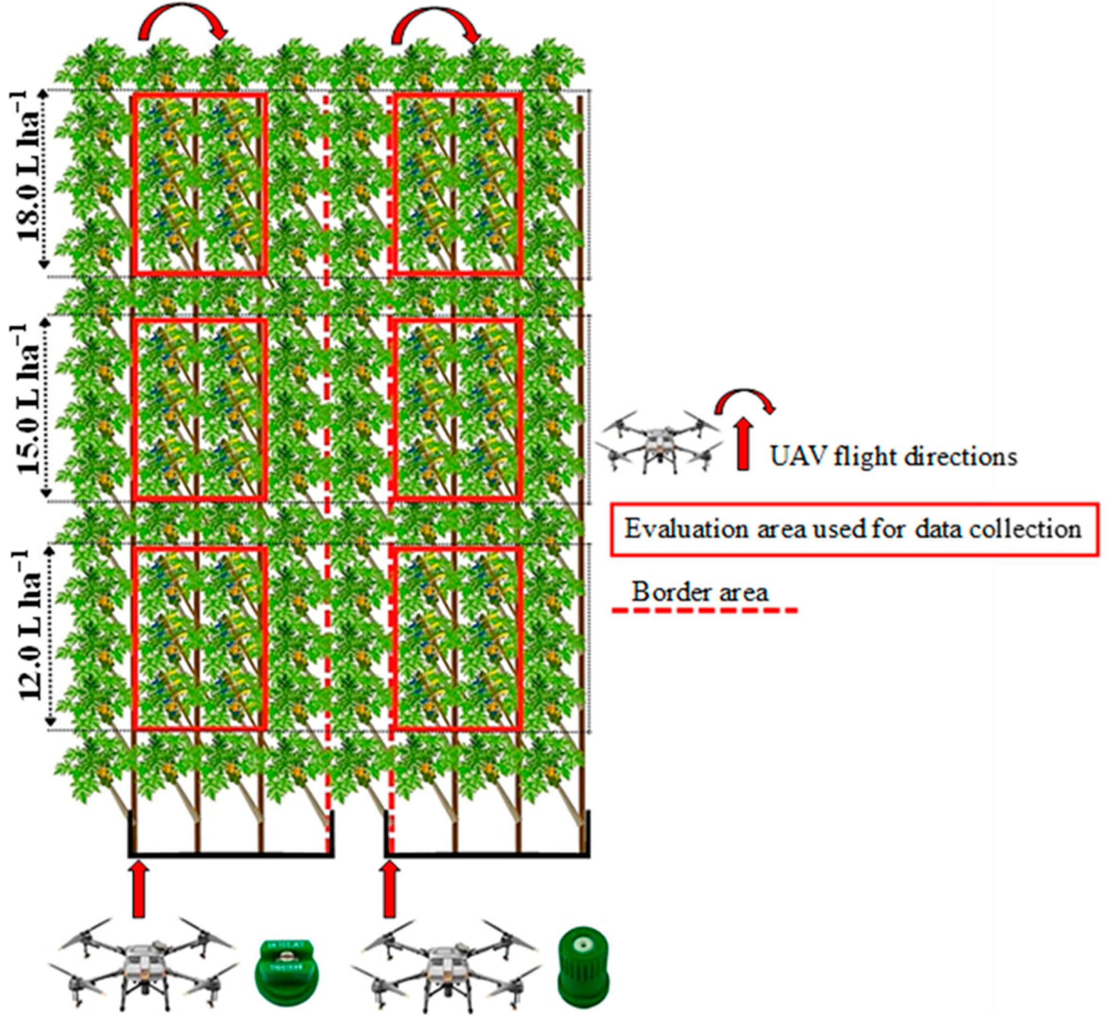 Agronomy 13 01138 g003