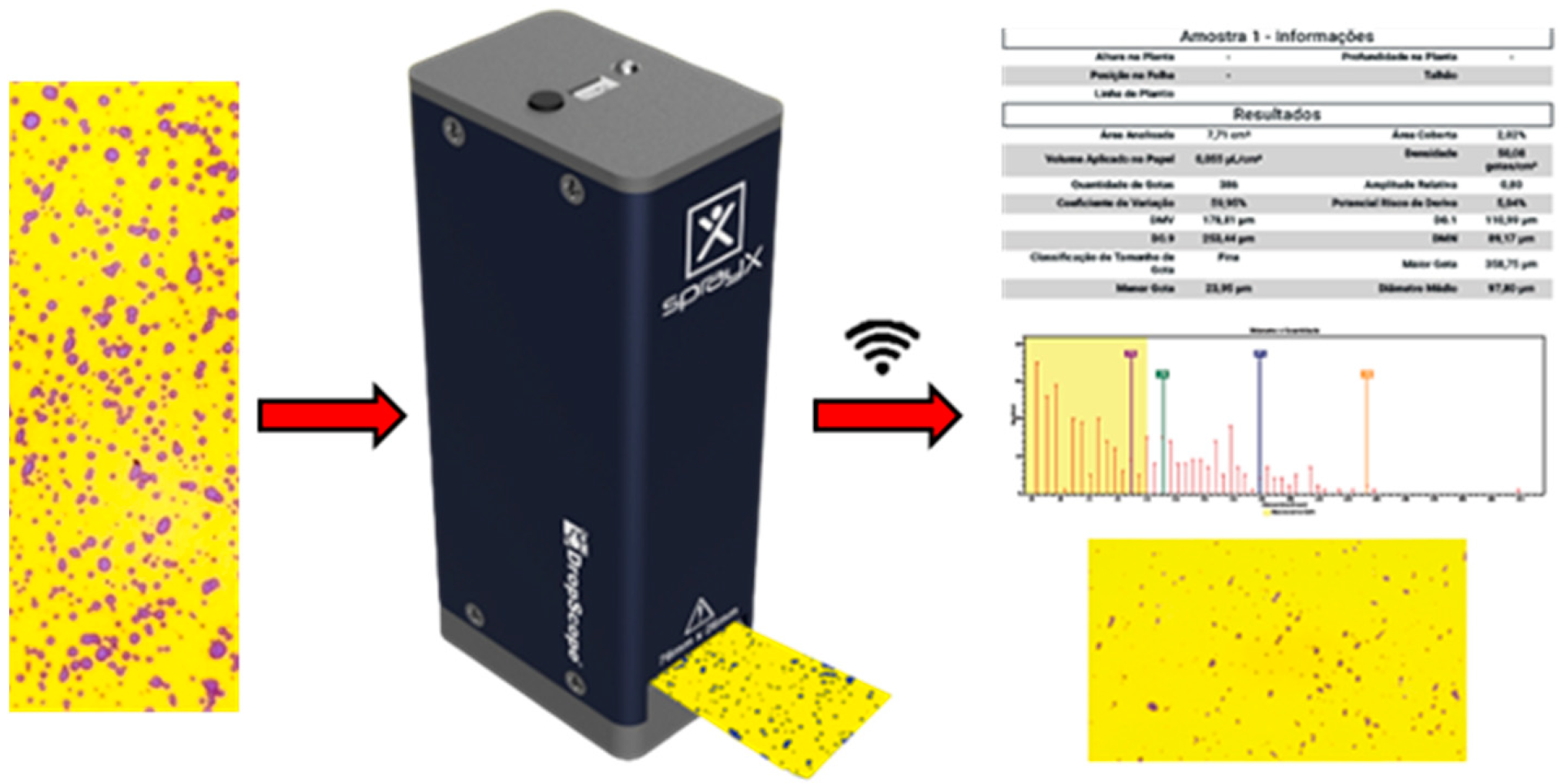 Agronomy 13 01138 g005
