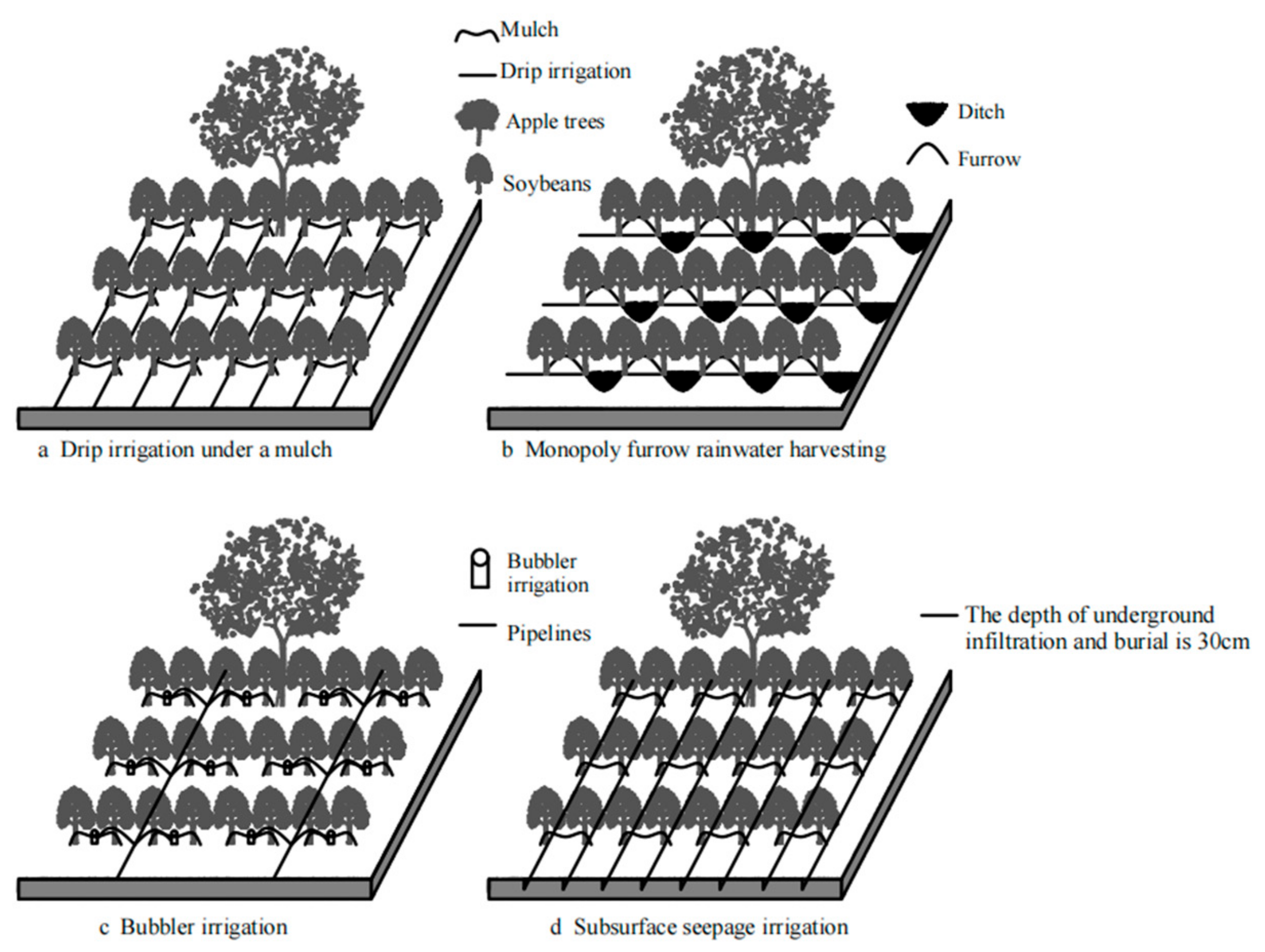 Agronomy 13 01143 g004