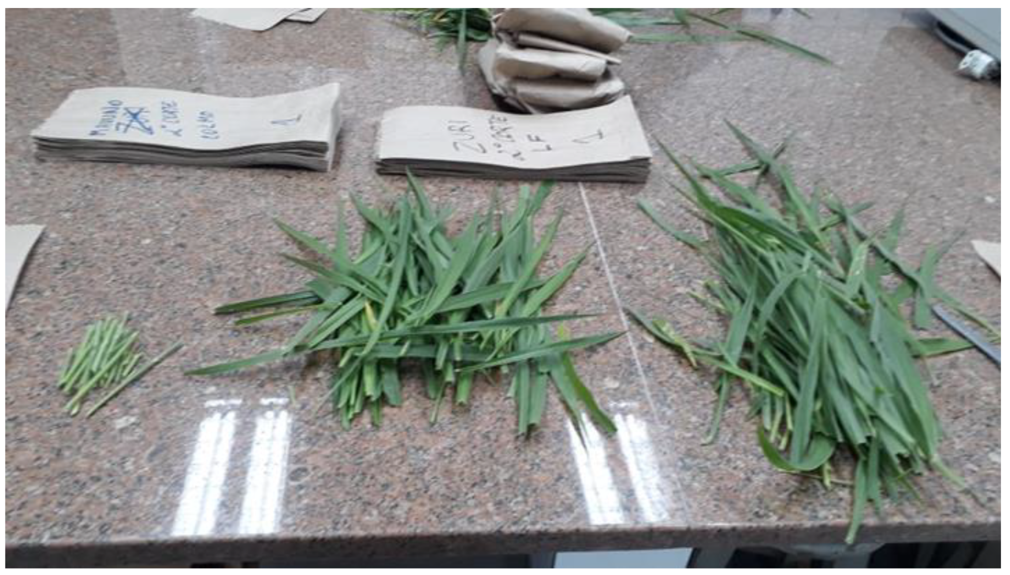 Agronomy 13 01145 g003 Agronomy 13 01145 g003