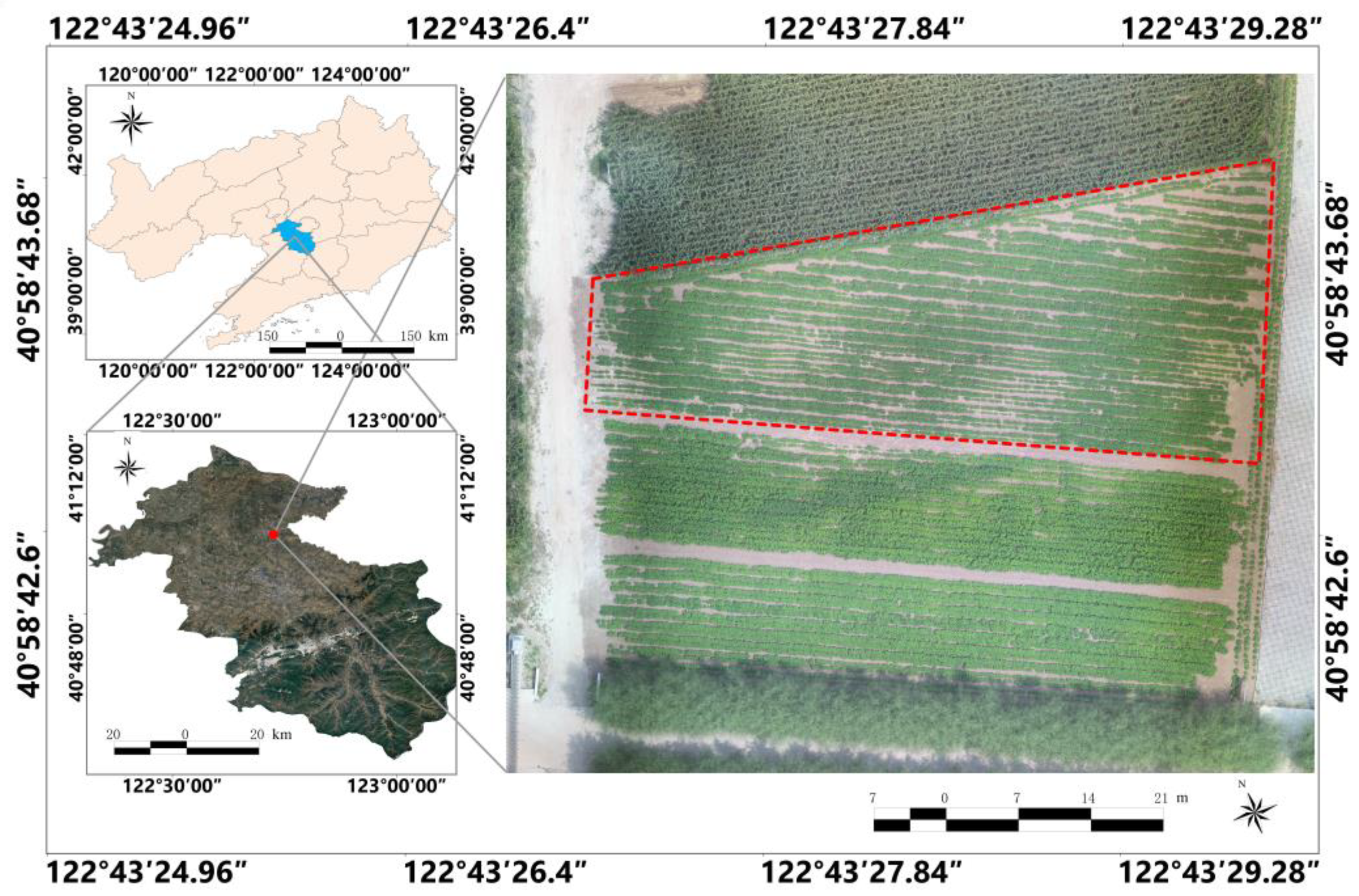 Agronomy 13 01153 g001