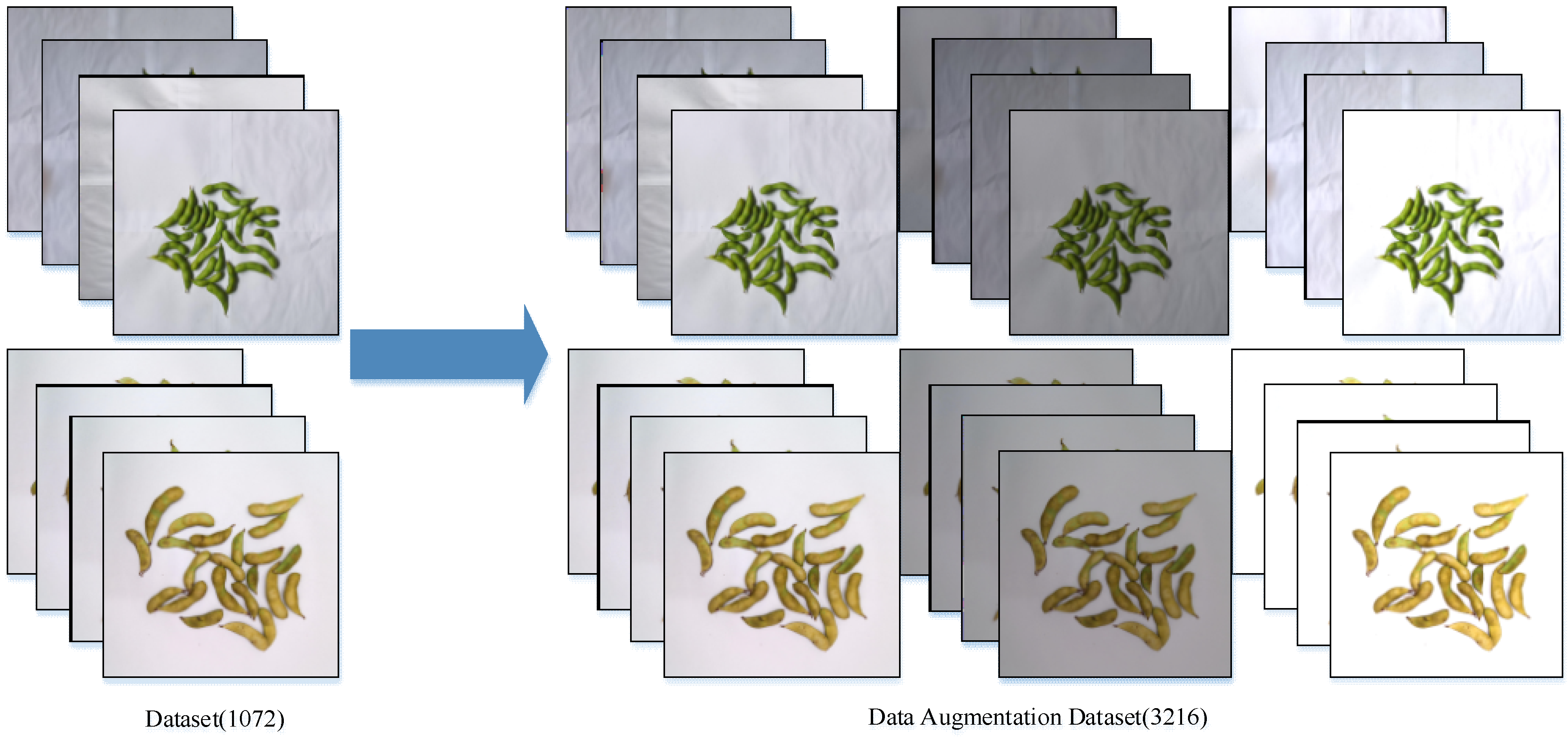 Agronomy 13 01154 g002