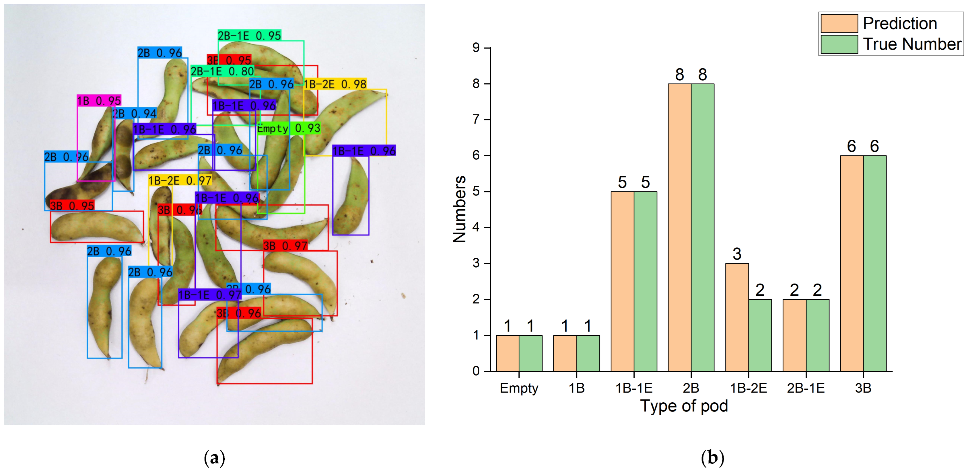 Agronomy 13 01154 g007a