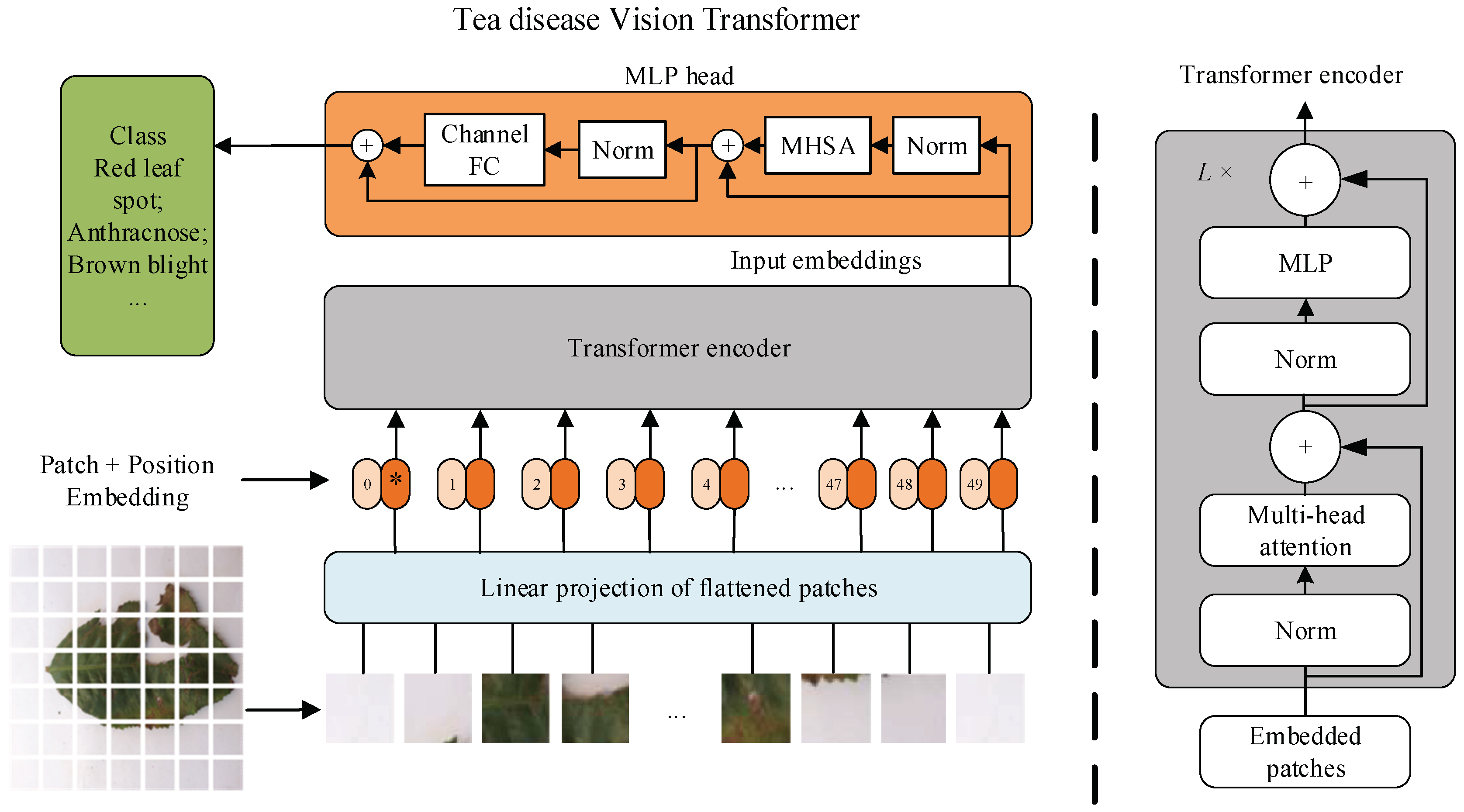 Agronomy 13 01156 g002 Agronomy 13 01156 g002