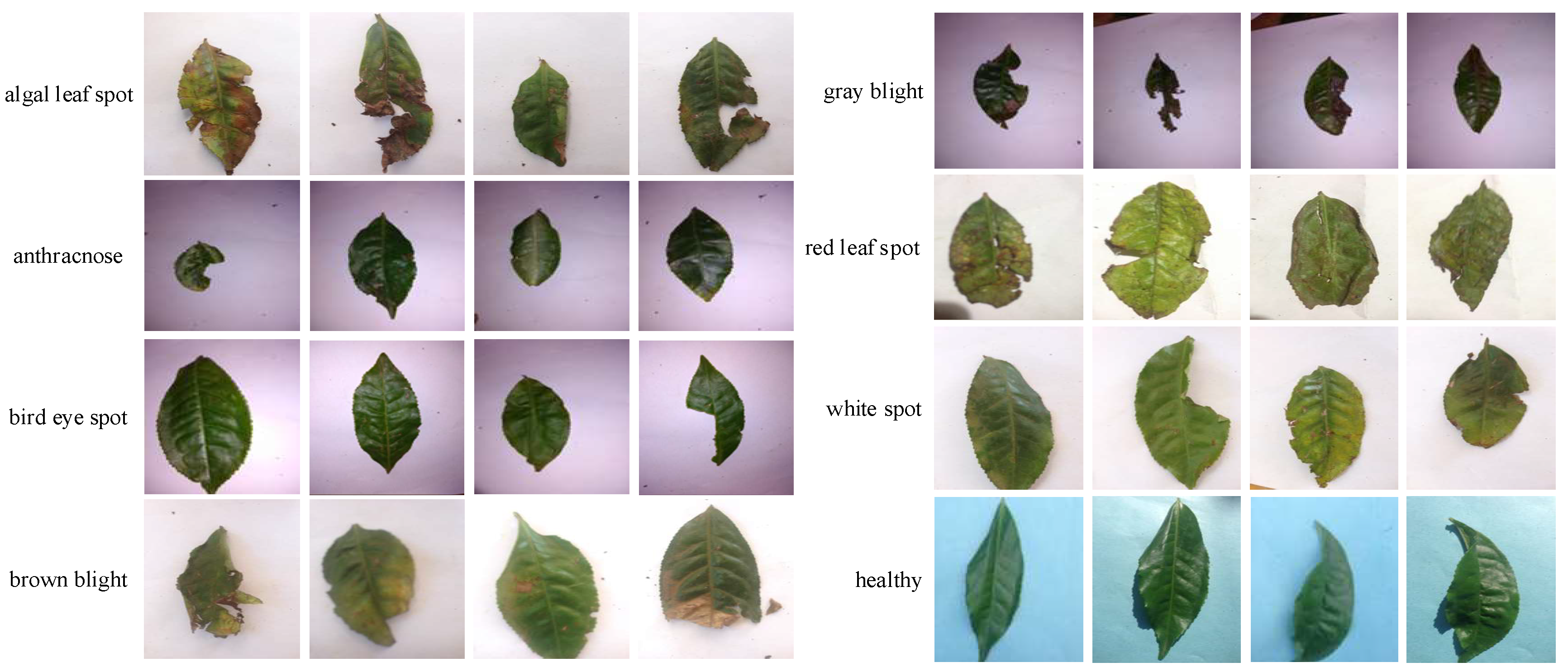 Agronomy 13 01156 g004 Agronomy 13 01156 g004