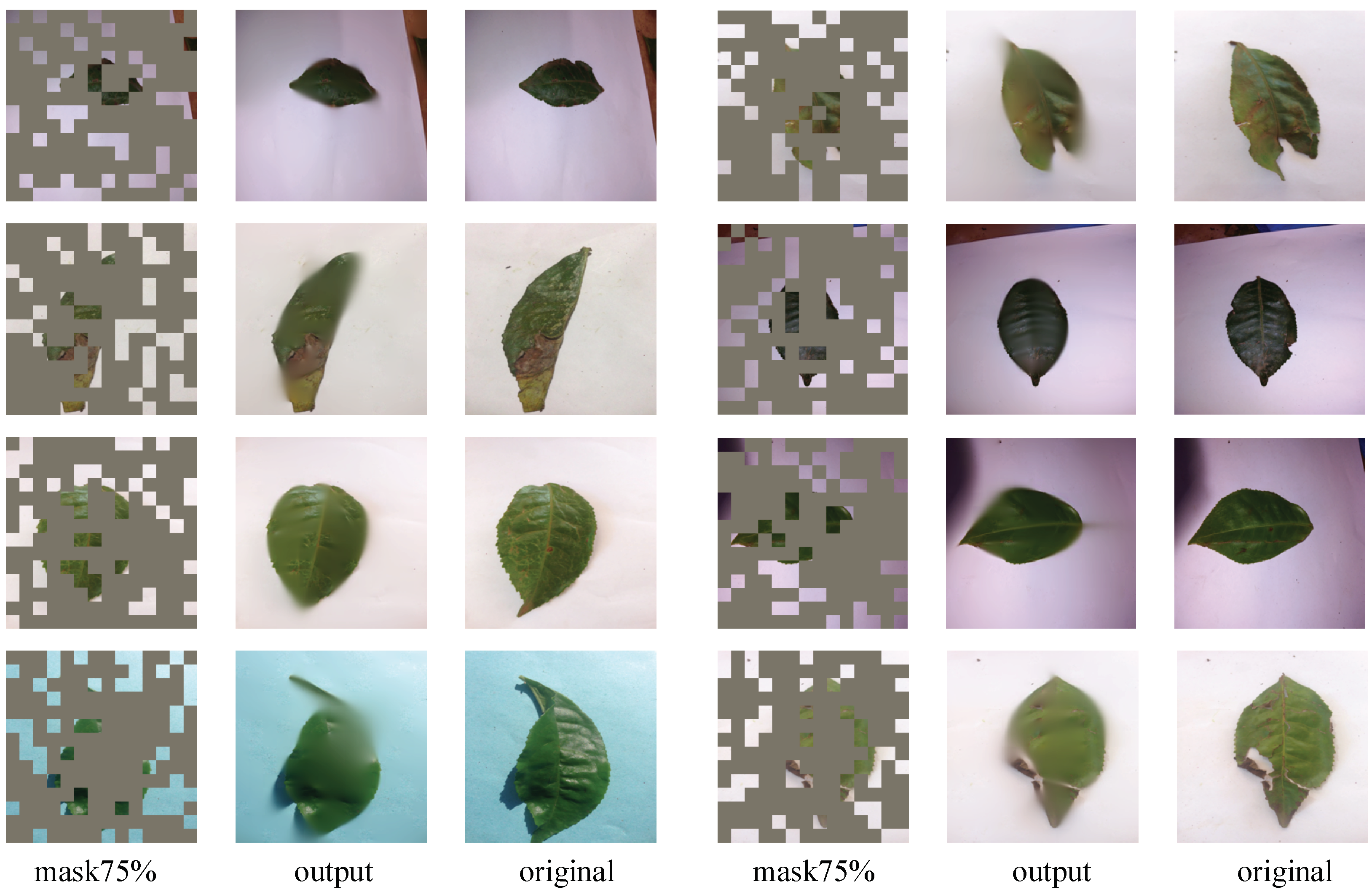 Agronomy 13 01156 g007 Agronomy 13 01156 g007