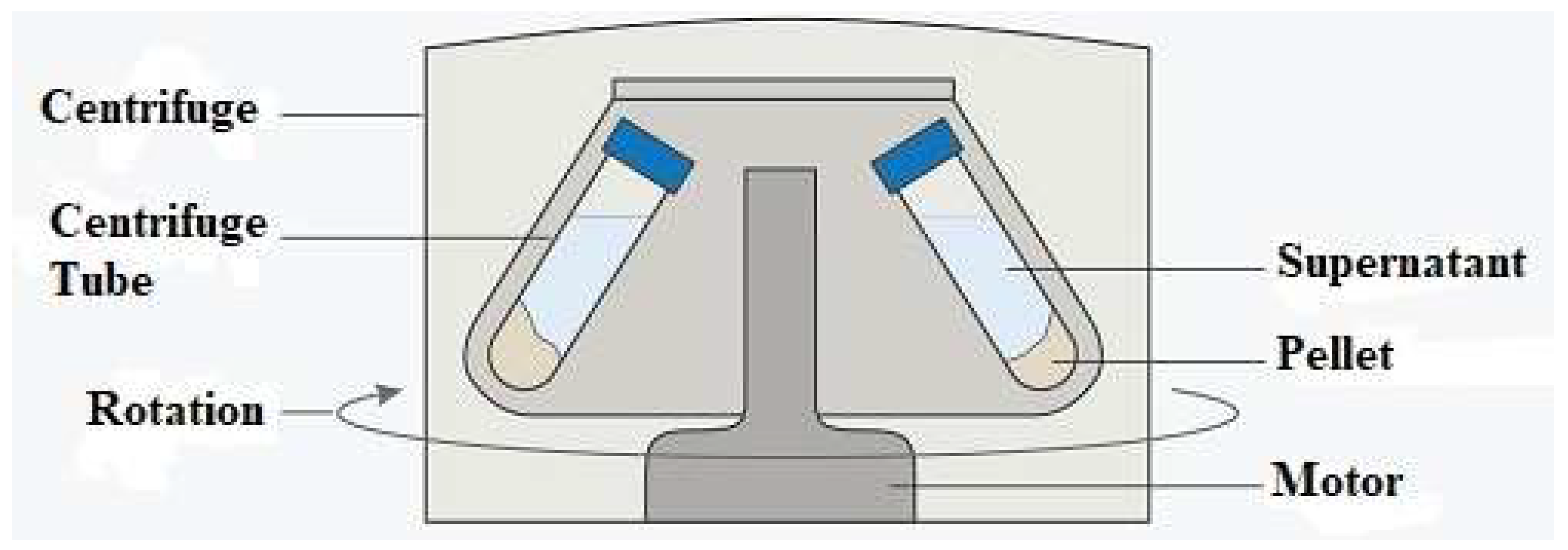 Agronomy 13 01160 g002