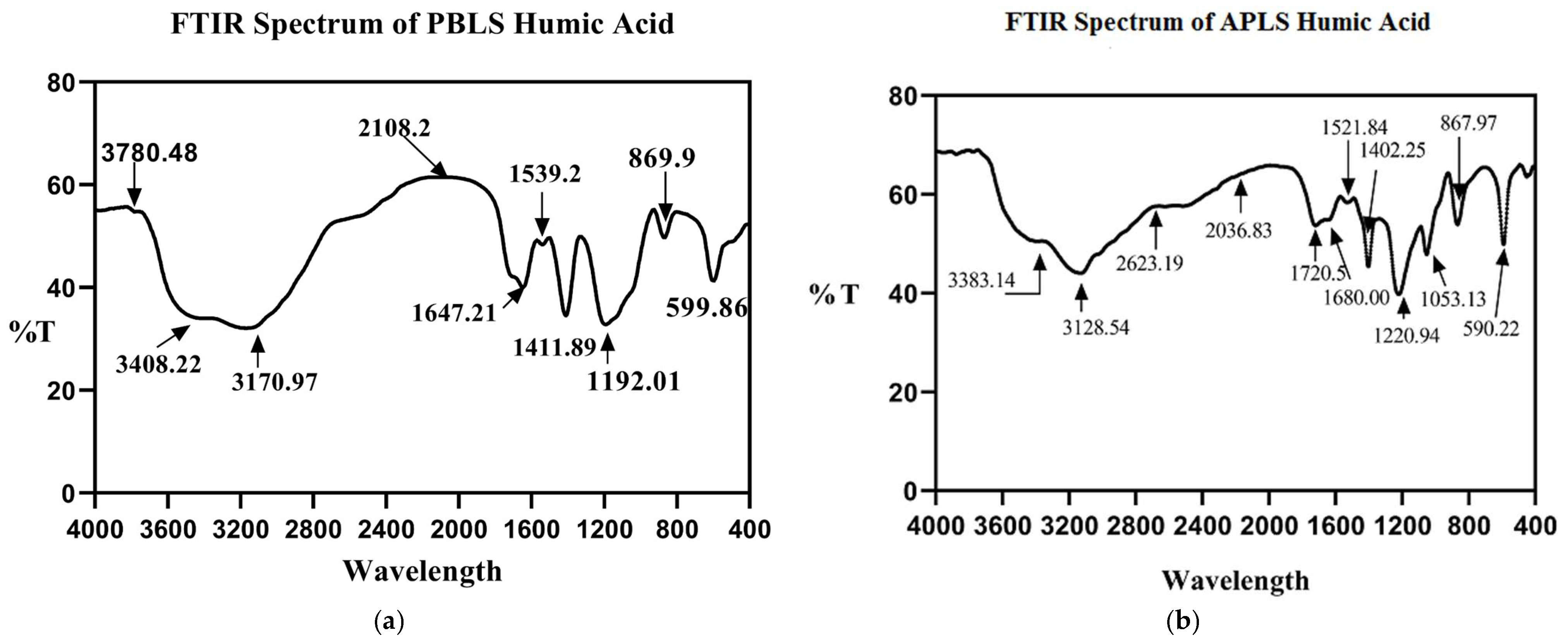 Agronomy 13 01160 g006