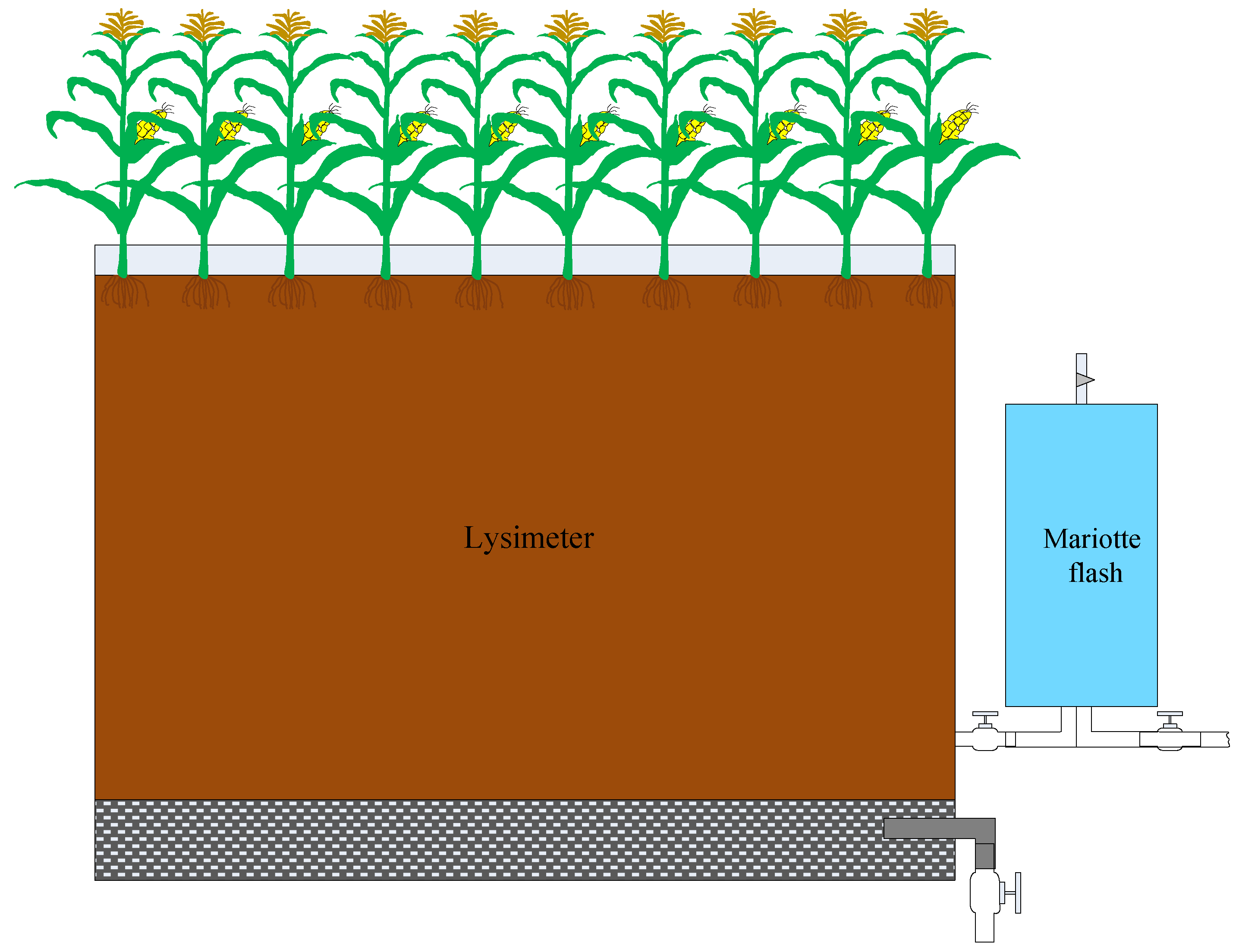 Agronomy 13 01163 g002