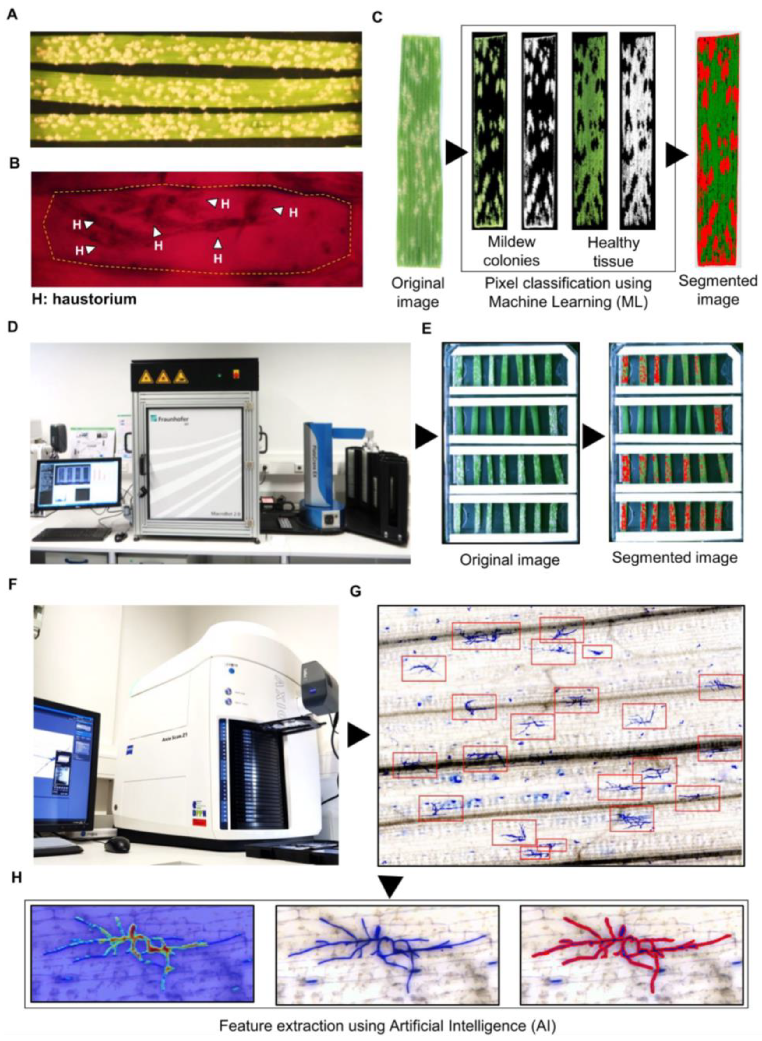 Agronomy 13 01173 g001 Agronomy 13 01173 g001