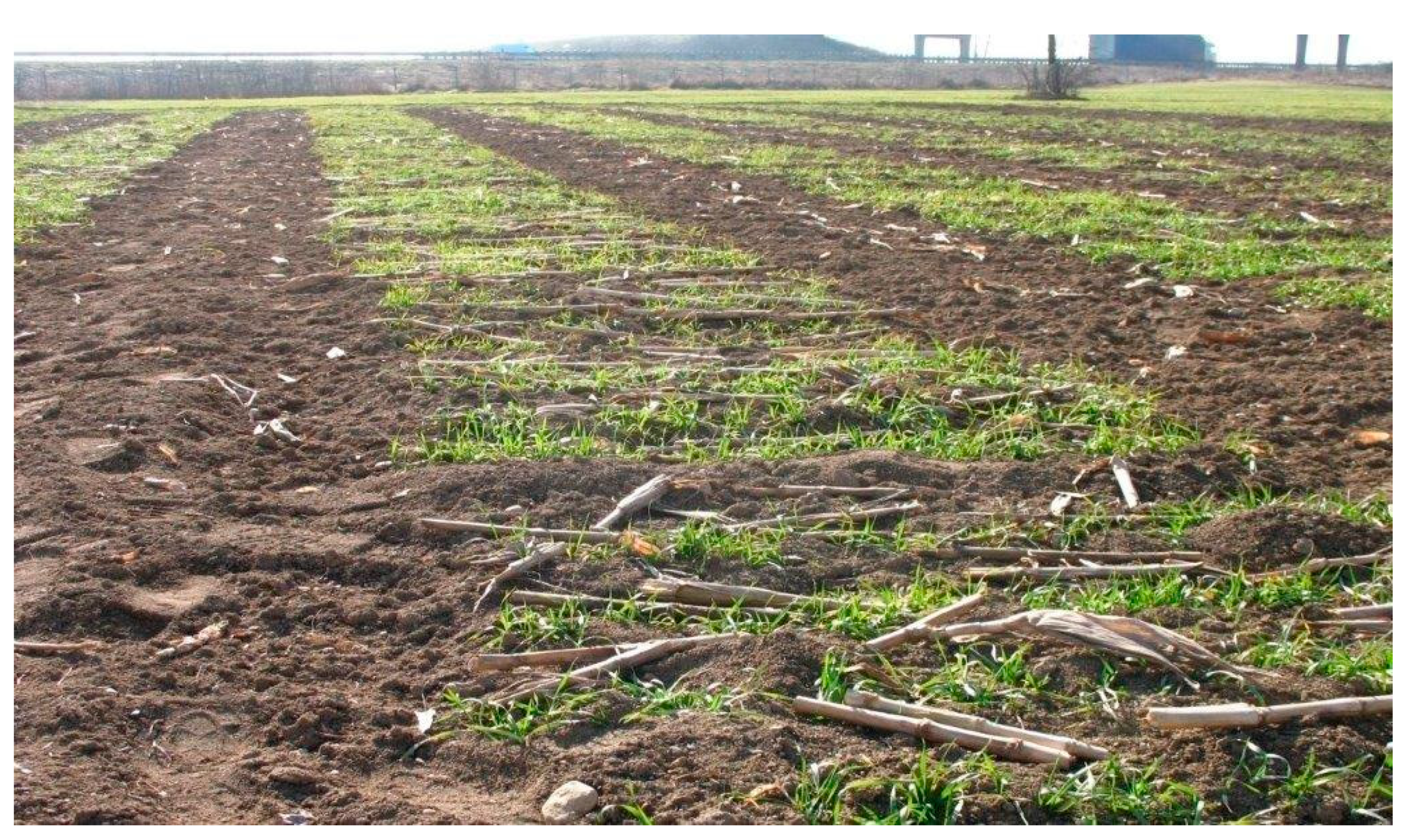 Agronomy 13 01175 g001