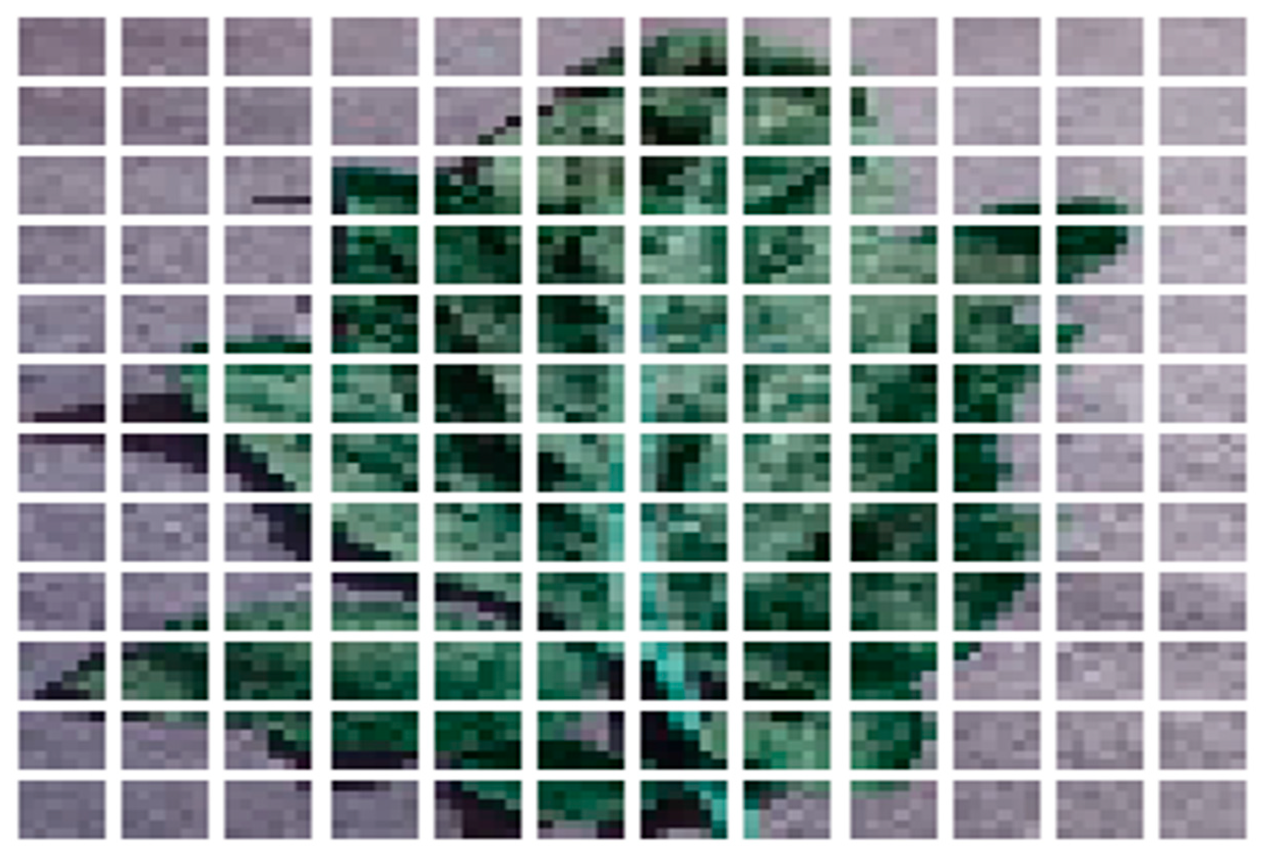 Agronomy 13 01184 g005