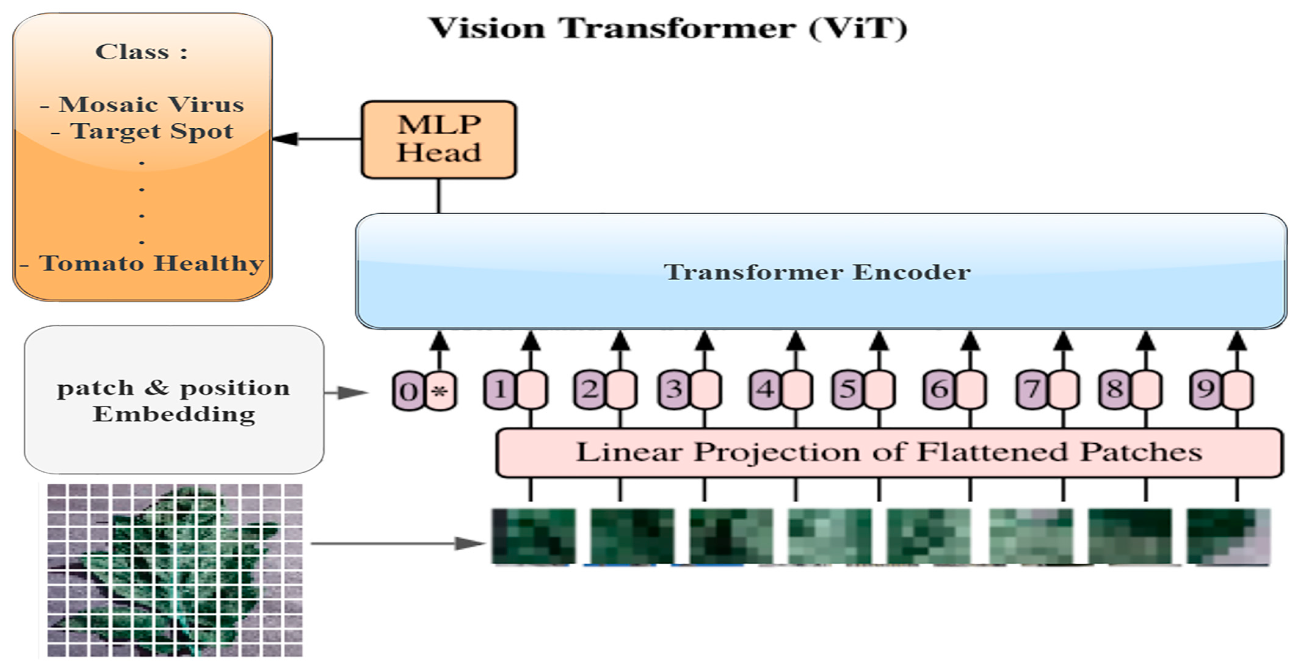 Agronomy 13 01184 g006