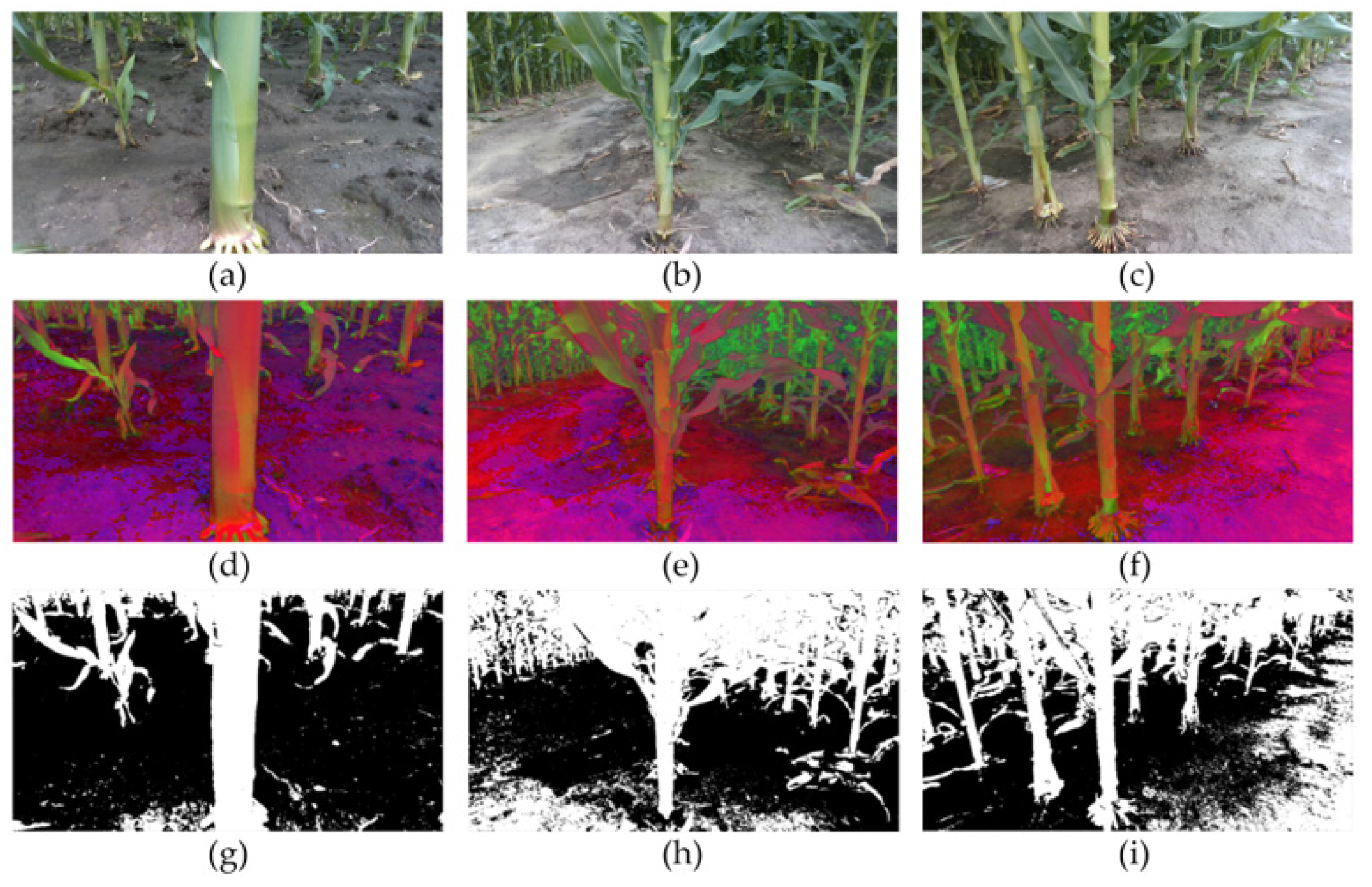 Agronomy 13 01185 g003 Agronomy 13 01185 g003