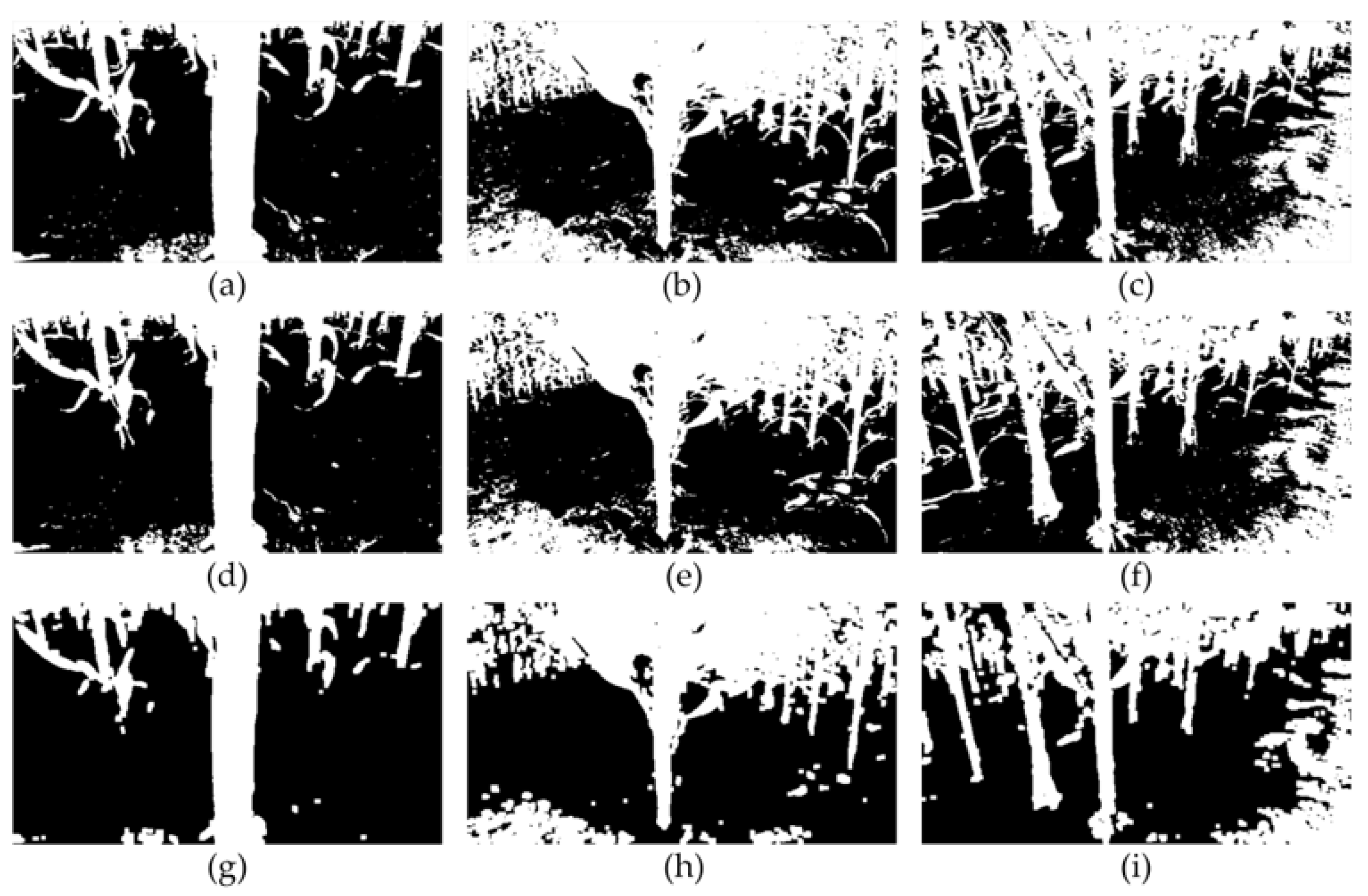 Agronomy 13 01185 g004 Agronomy 13 01185 g004