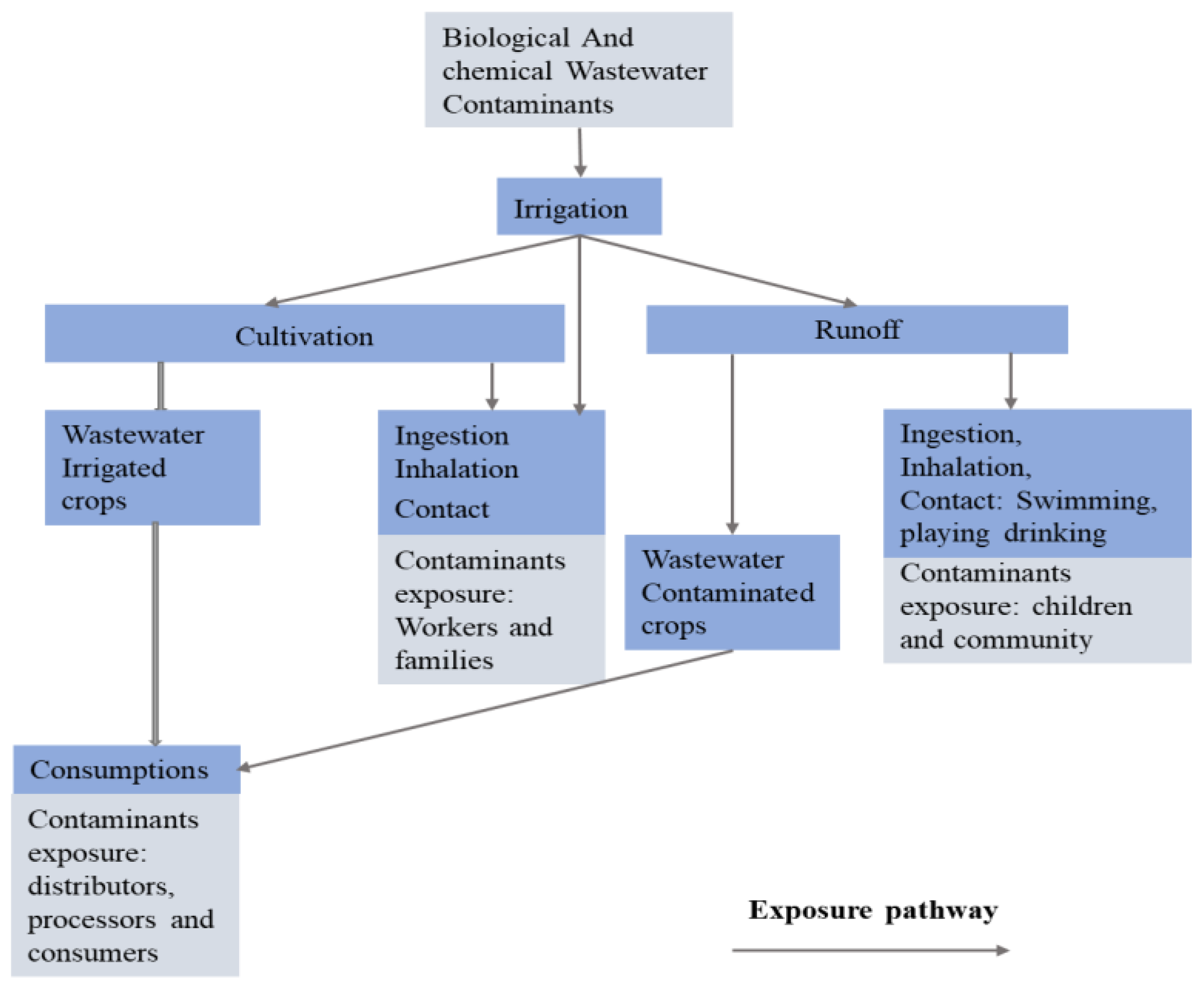Agronomy 13 01187 g010 Agronomy 13 01187 g010