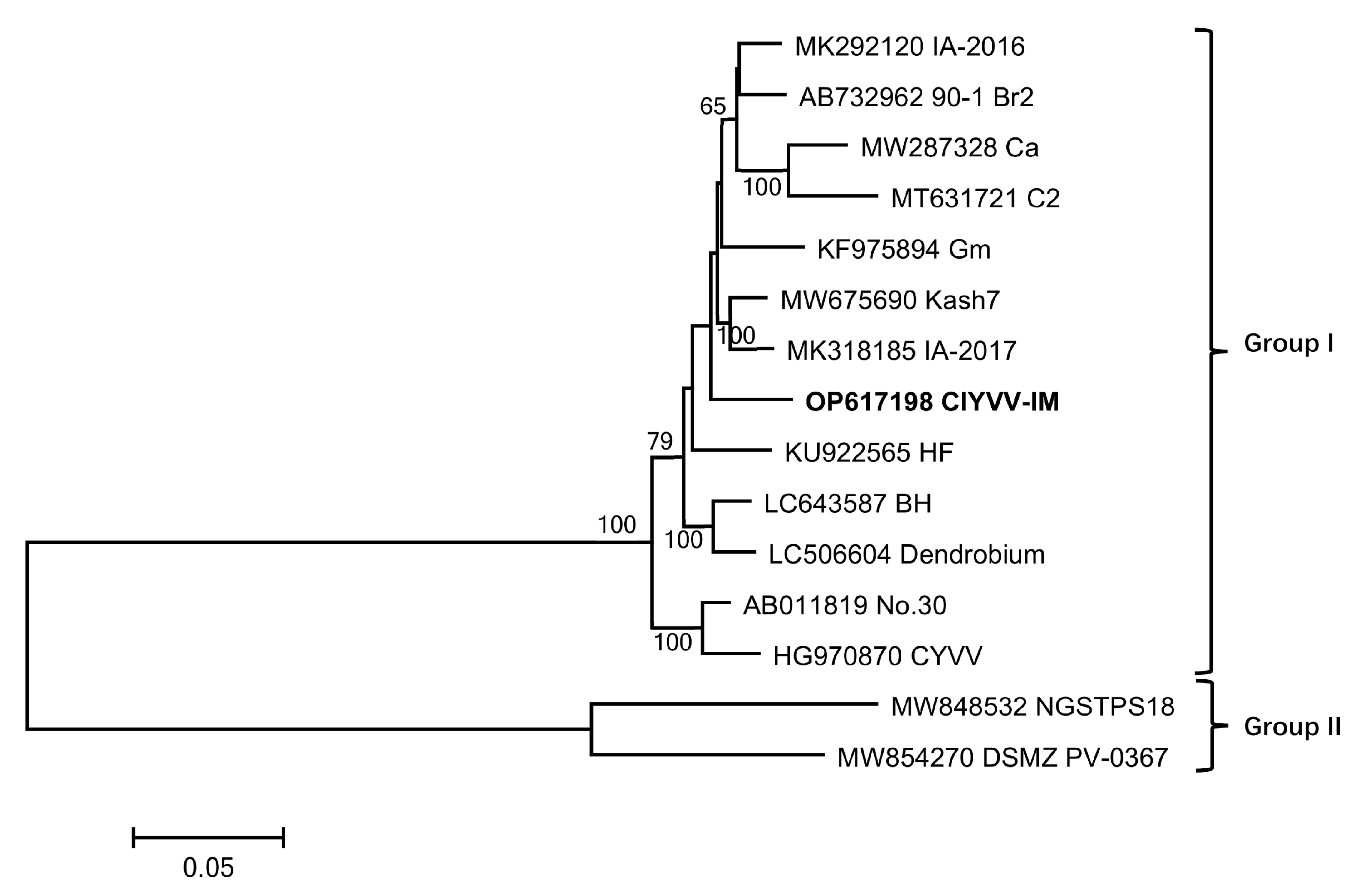 Agronomy 13 01193 g004 Agronomy 13 01193 g004