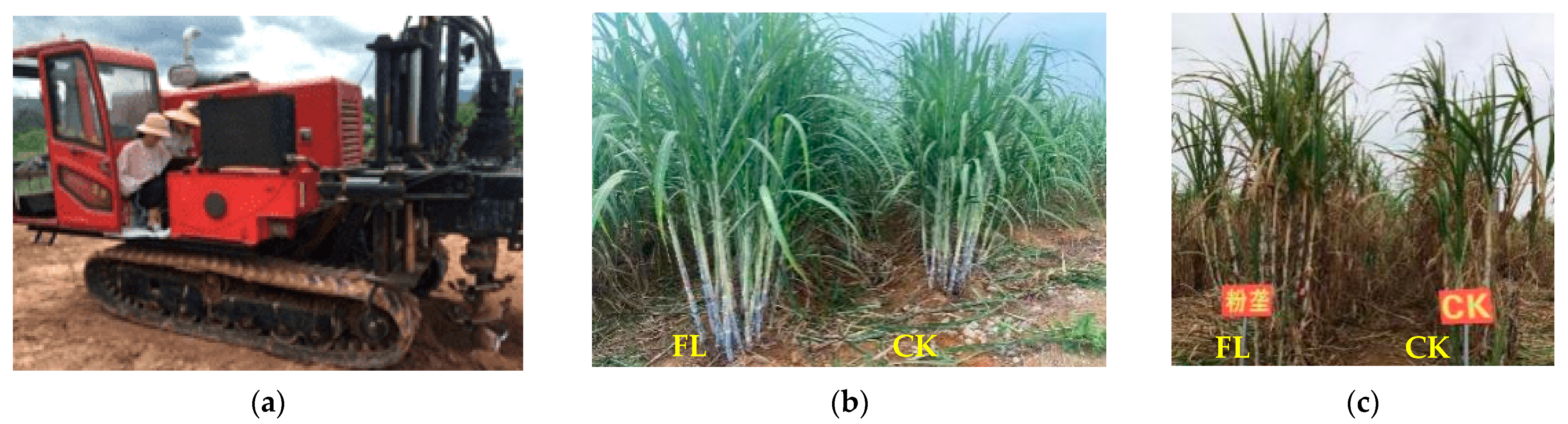 Agronomy 13 01196 g001 Agronomy 13 01196 g001
