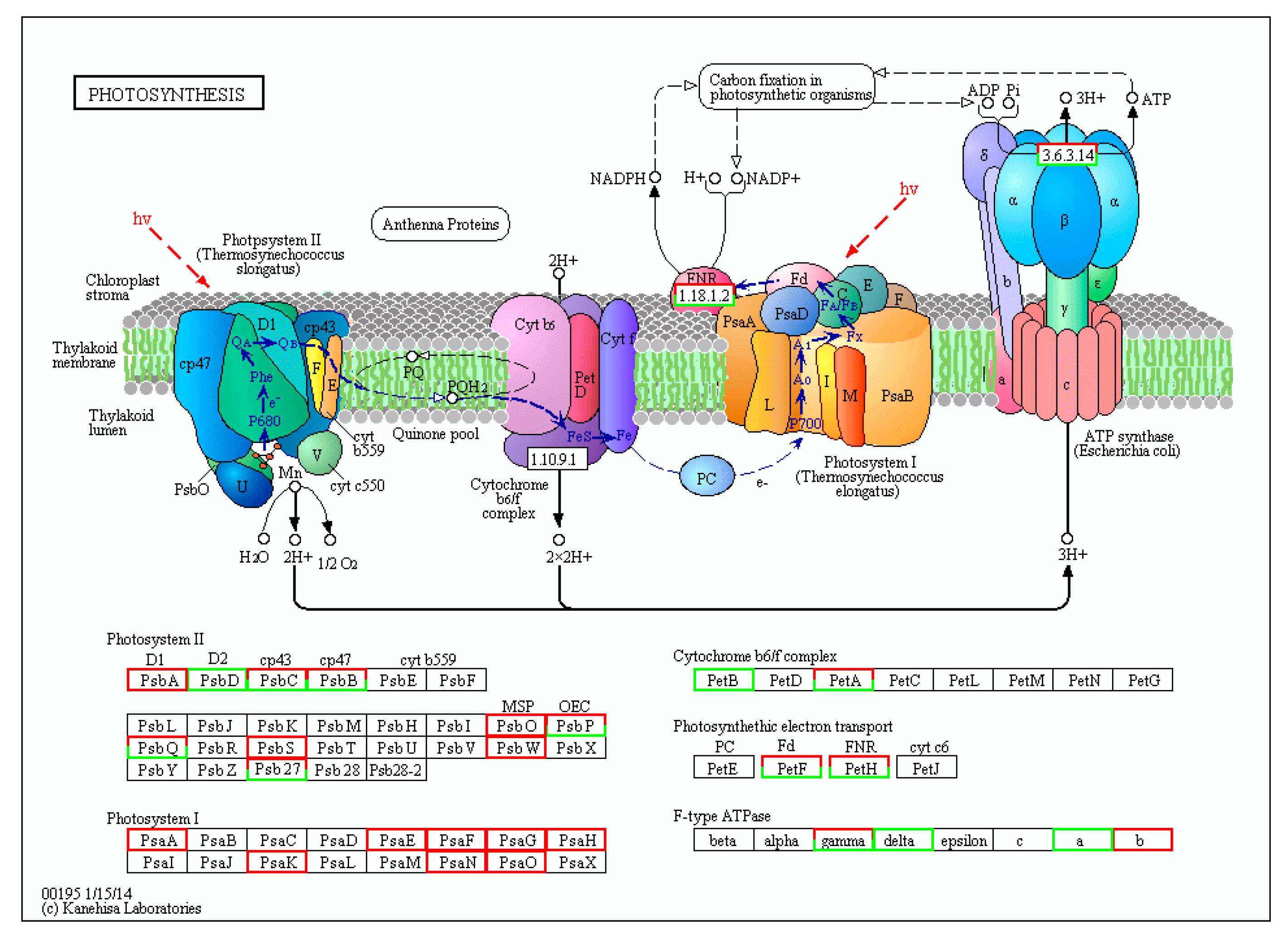 Agronomy 13 01196 g011 Agronomy 13 01196 g011