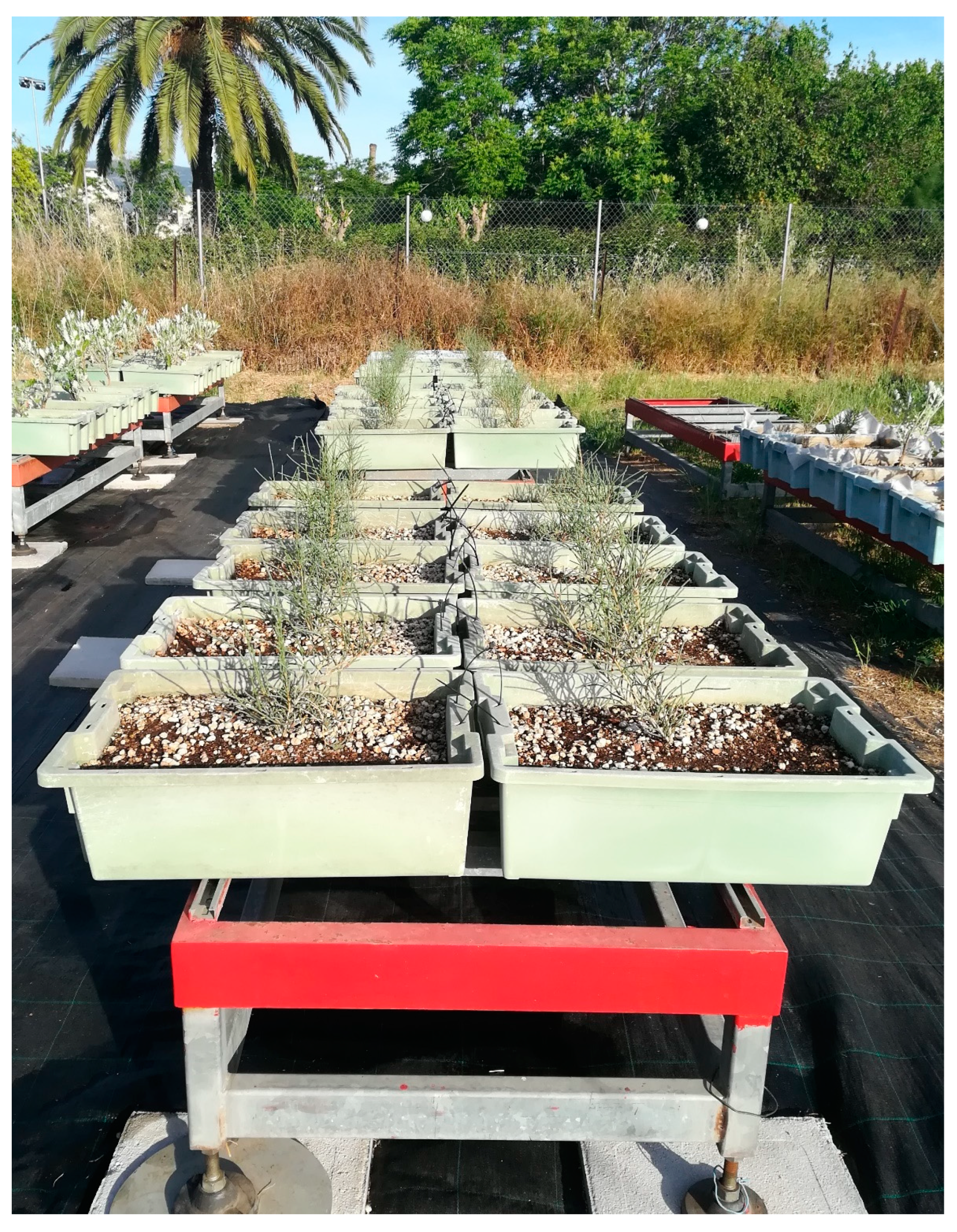 Agronomy 13 01198 g002 Agronomy 13 01198 g002