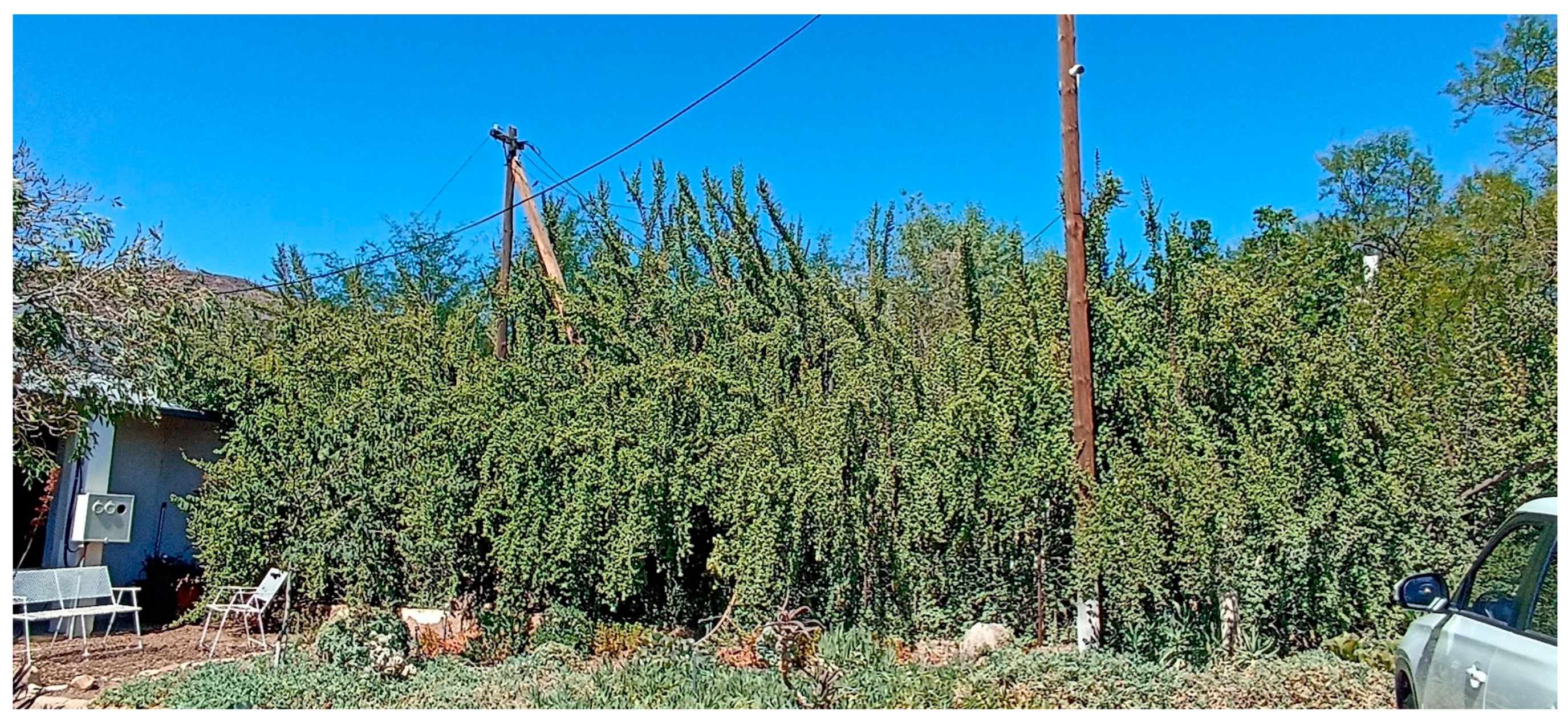 Agronomy 13 01206 g005 Agronomy 13 01206 g005