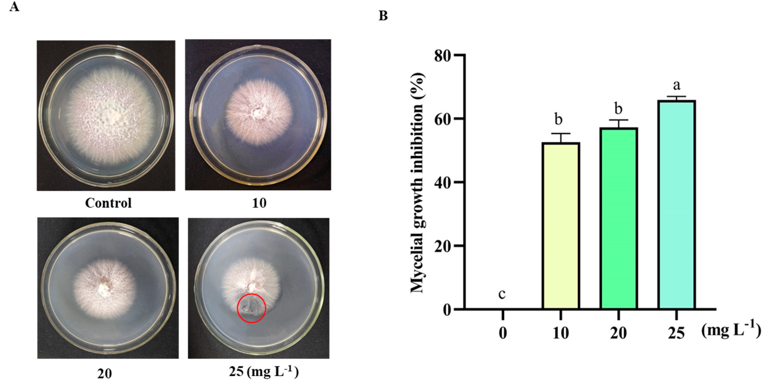 Agronomy 13 01210 g001