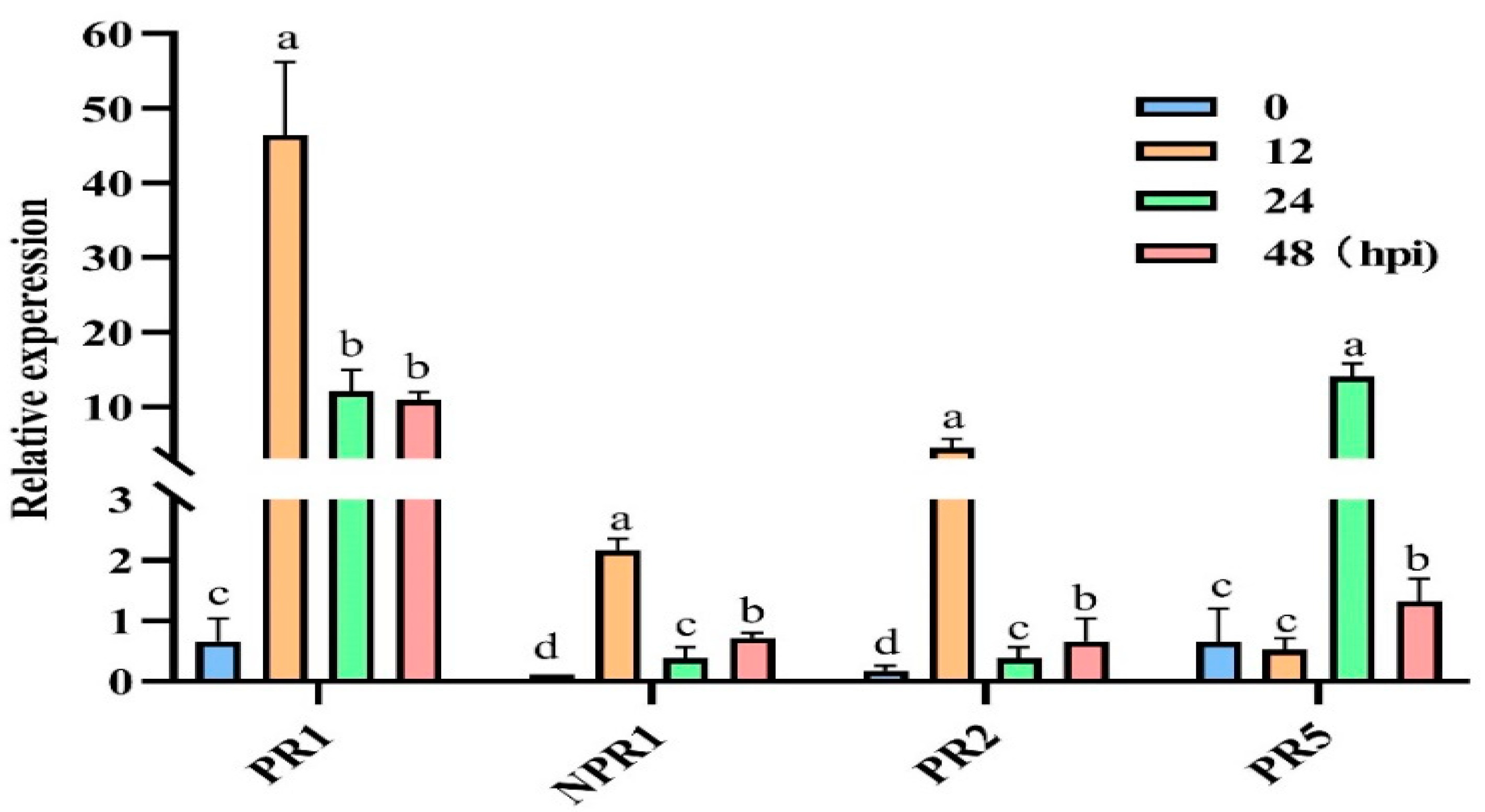 Agronomy 13 01210 g006