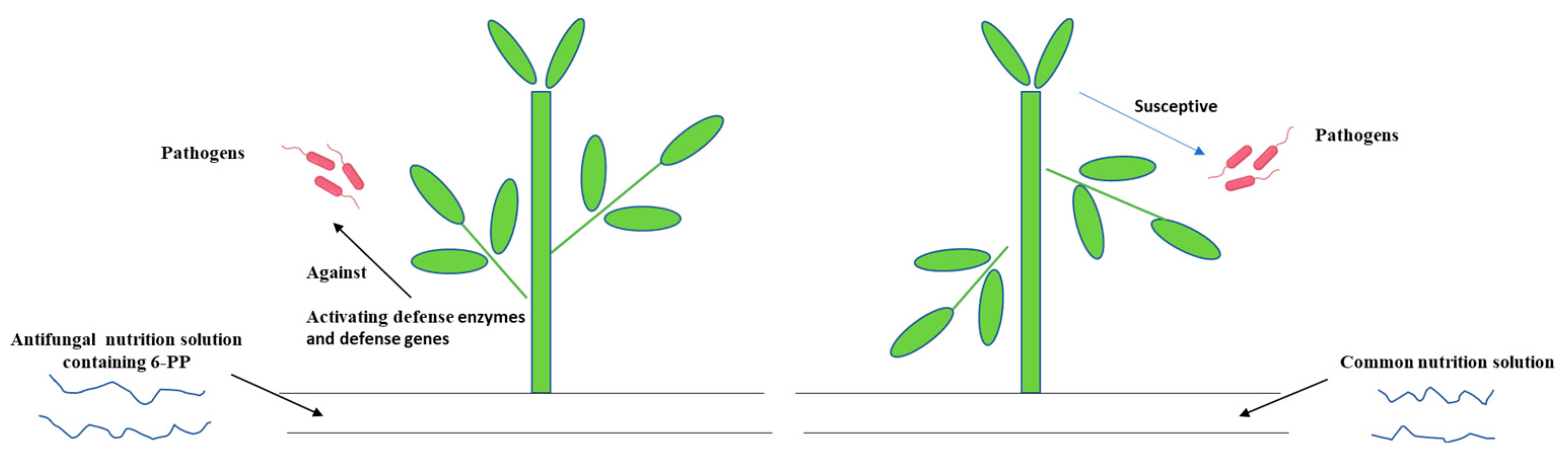 Agronomy 13 01210 g007