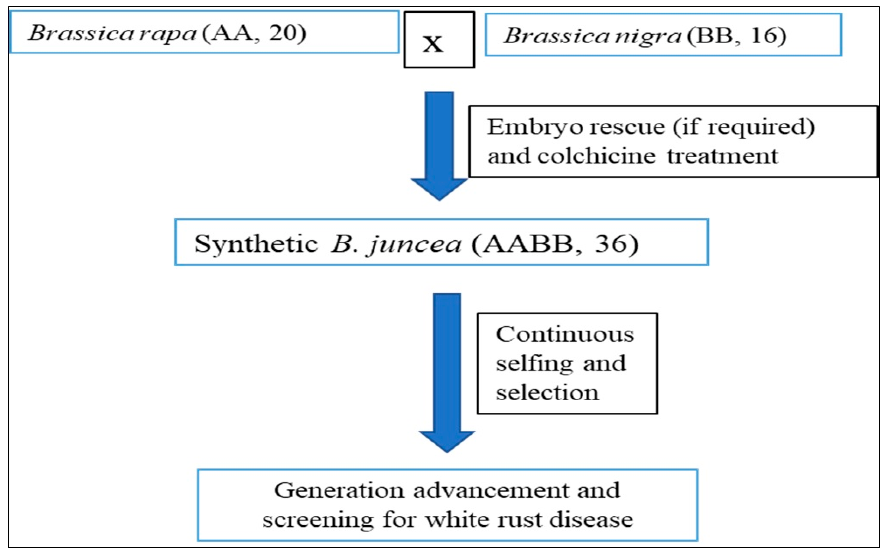 Agronomy 13 01215 g001