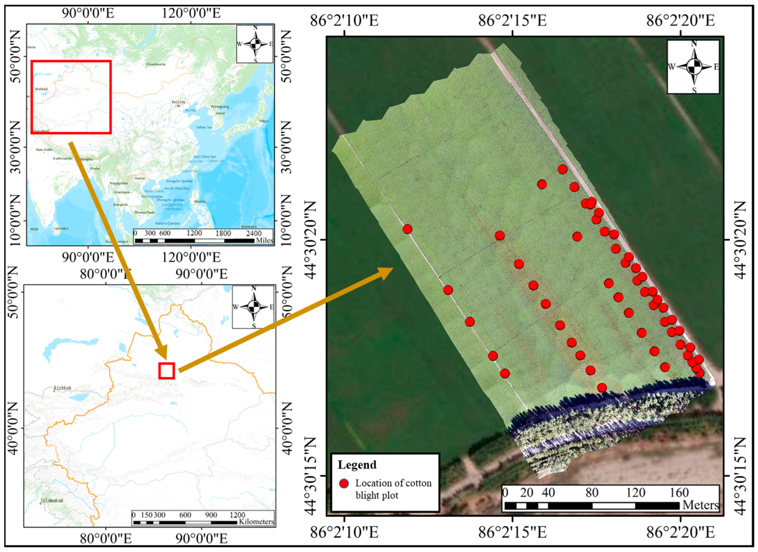 Agronomy 13 01222 g001