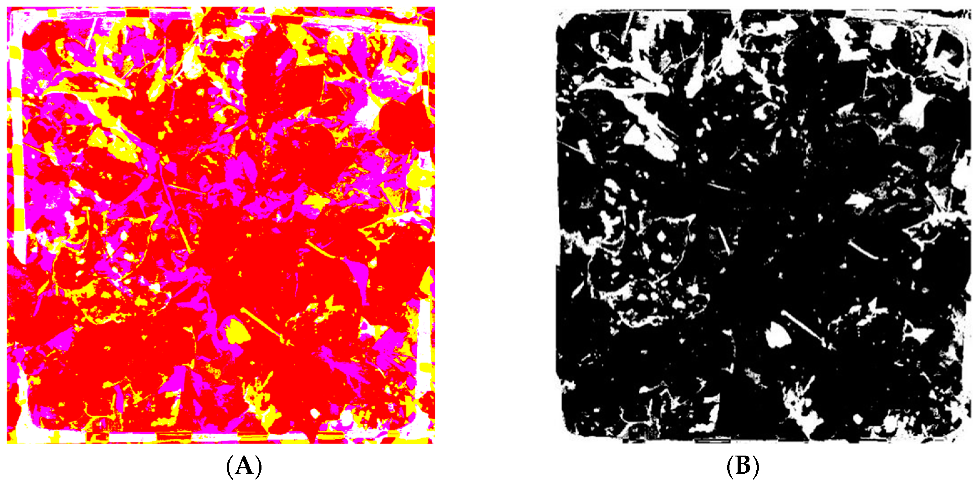 Agronomy 13 01222 g004