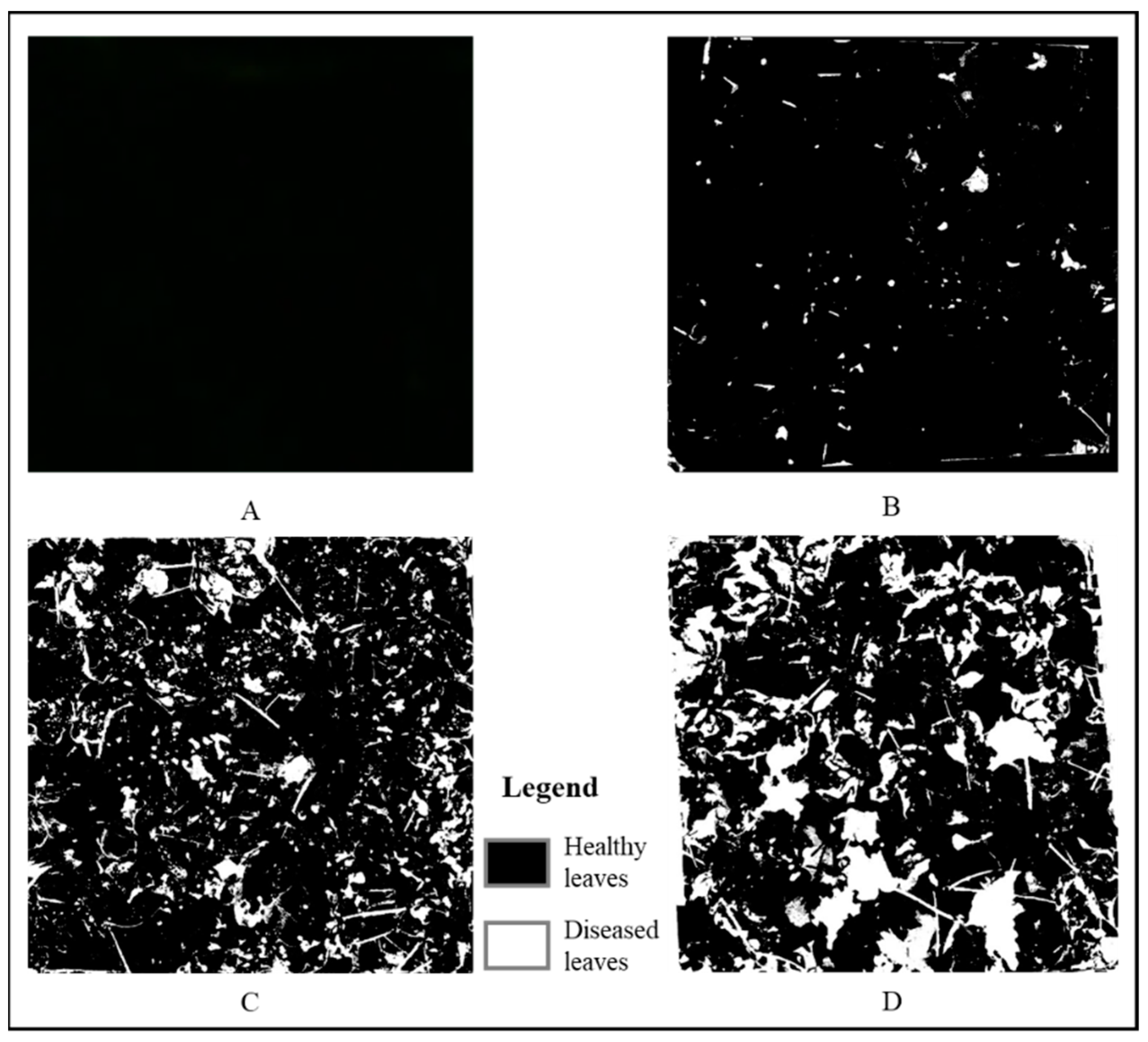 Agronomy 13 01222 g005