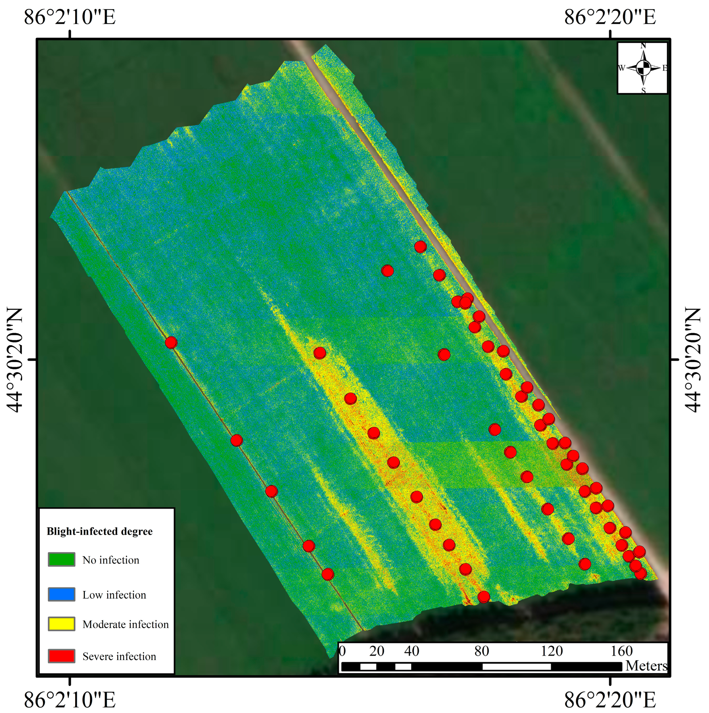 Agronomy 13 01222 g008