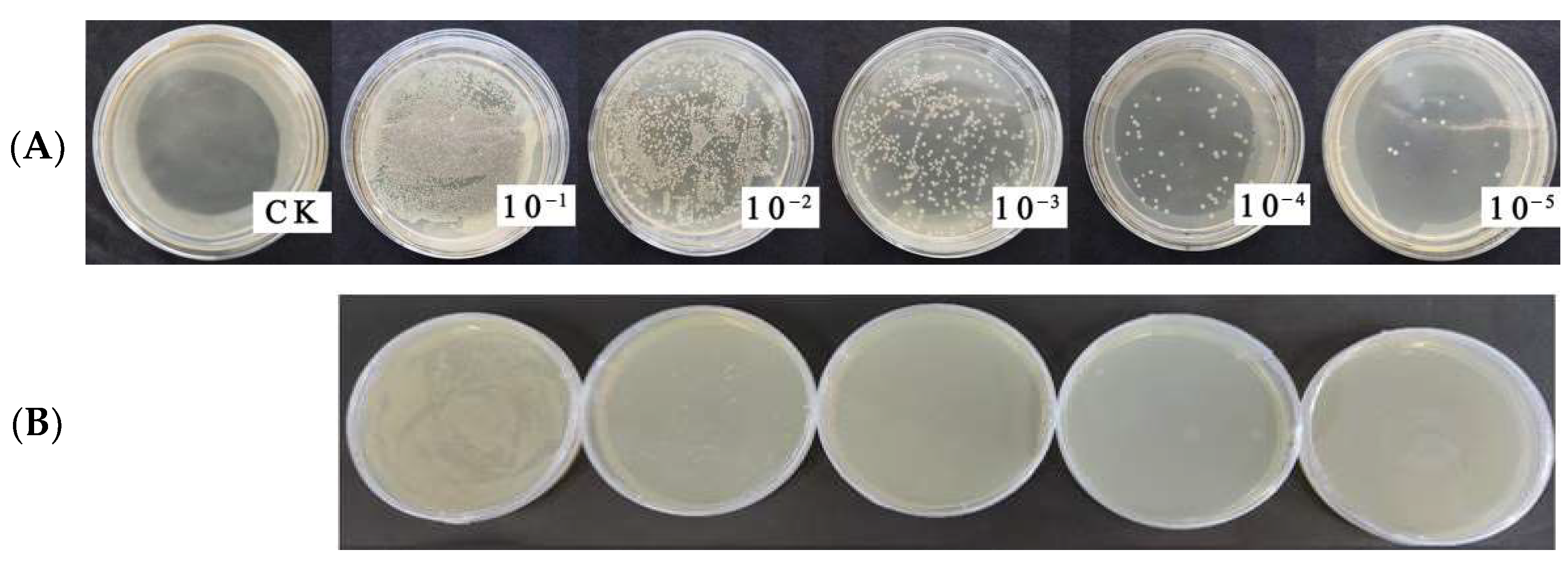 Agronomy 13 01228 g006 Agronomy 13 01228 g006