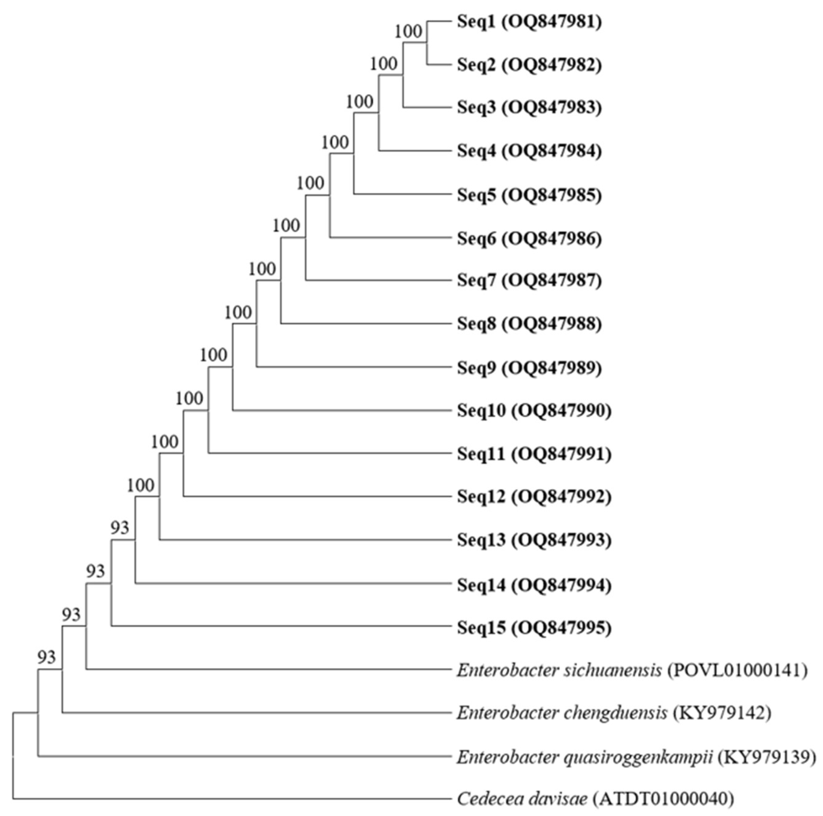 Agronomy 13 01228 g009 Agronomy 13 01228 g009